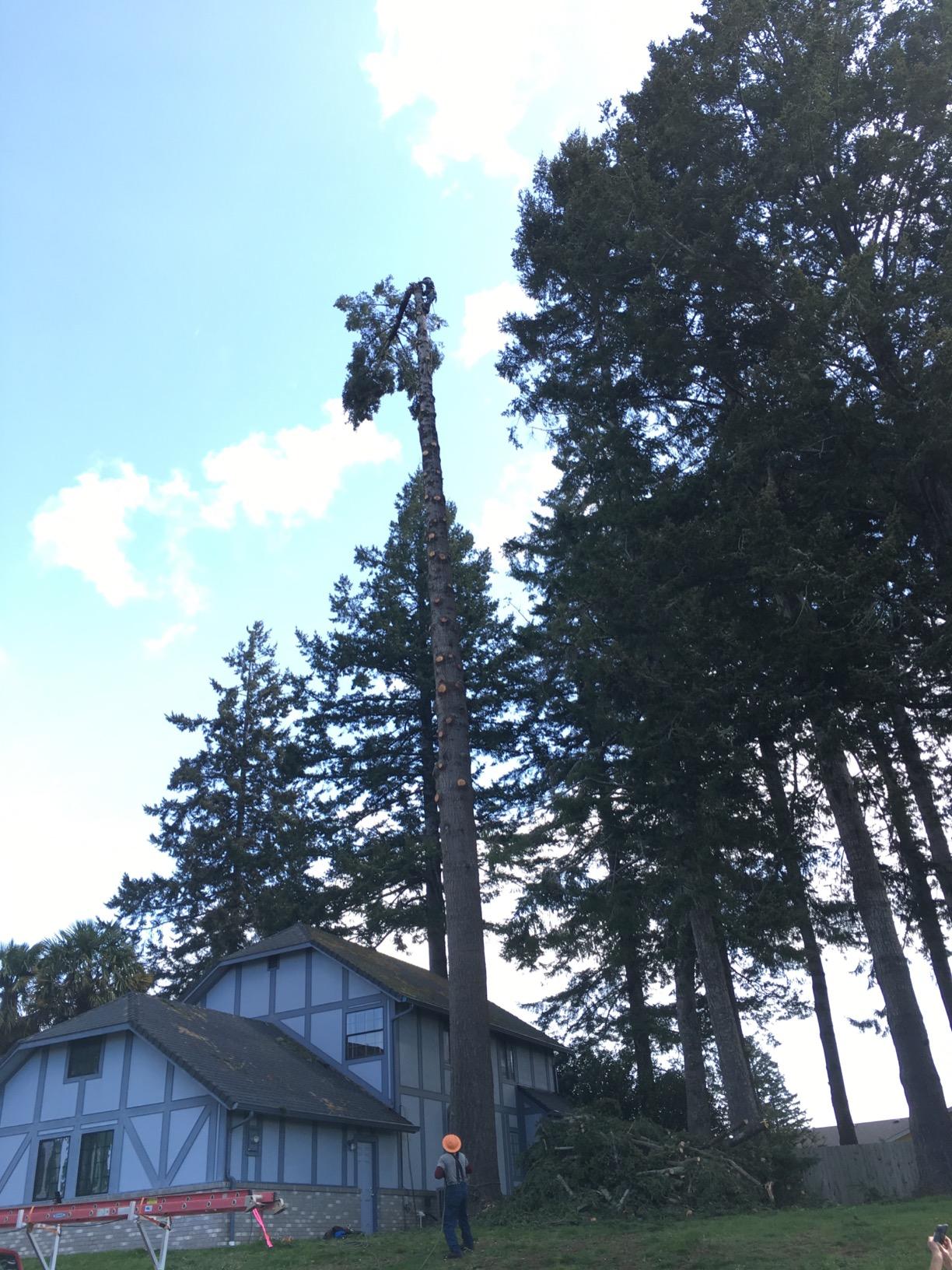 Notch Medium Portawrap Compact Stainless-Steel Rope Friction Device, Arborist Designed for Lines up to 5/8
