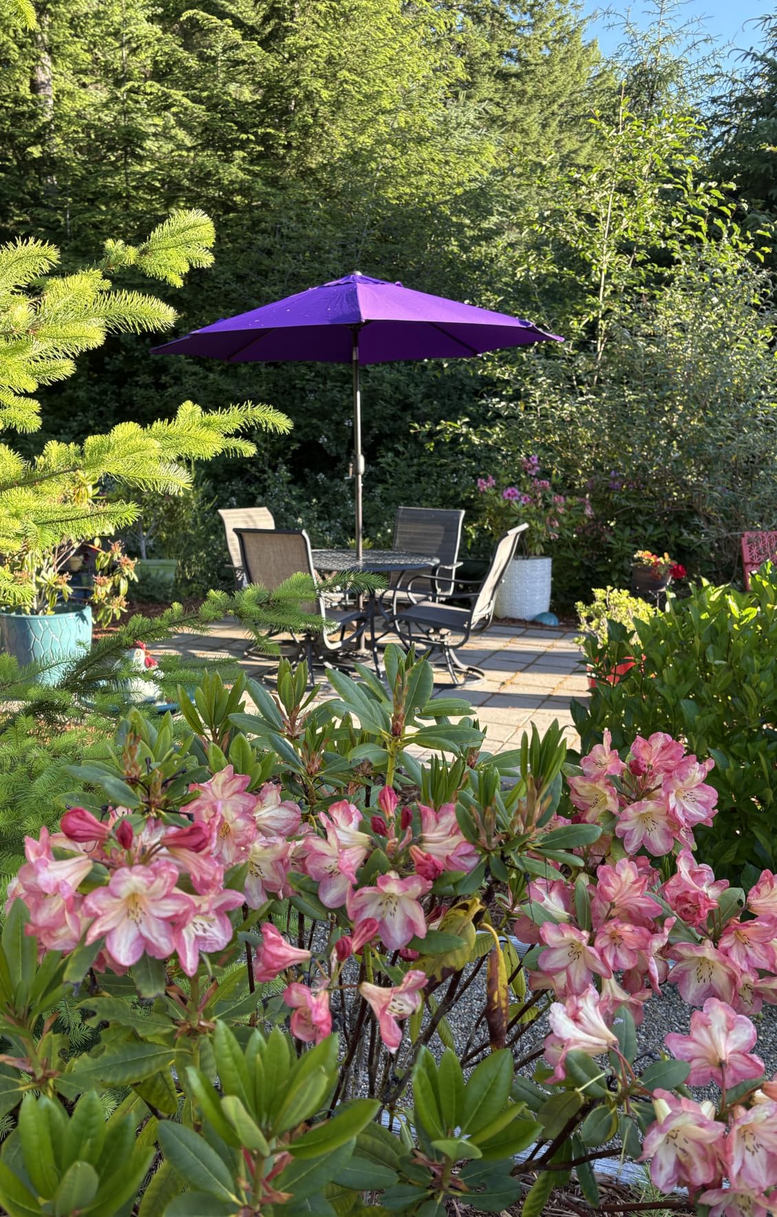 Blissun 9' Outdoor Patio Umbrella, Outdoor Table Umbrella, Yard Umbrella, Market Umbrella with 8 Sturdy Ribs, Push Button Tilt and Crank customer photo 1