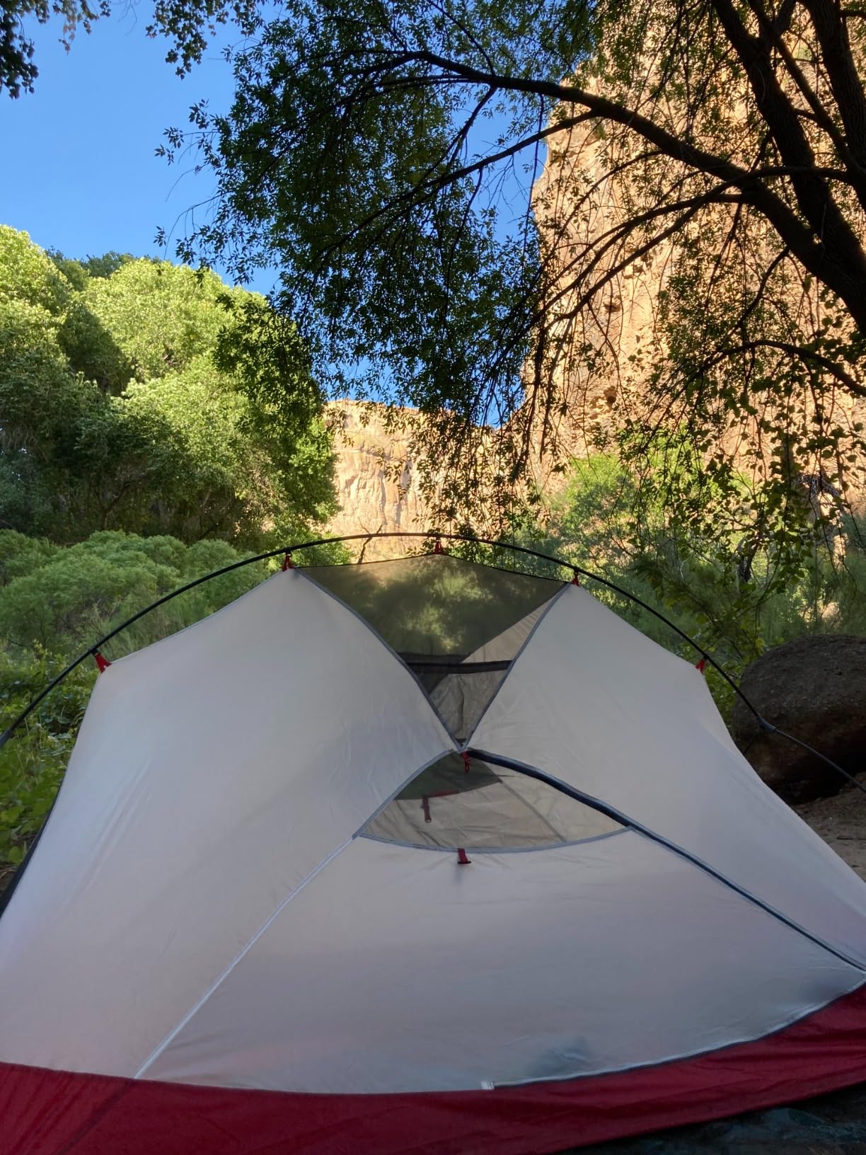 Amazon Basics Waterproof Multipurpose Camping Tarp, Tear Resistant with Reinforced Edges, Protective Cover, 7.5 Feet x 9.5 Feet, Dark Green customer photo 2