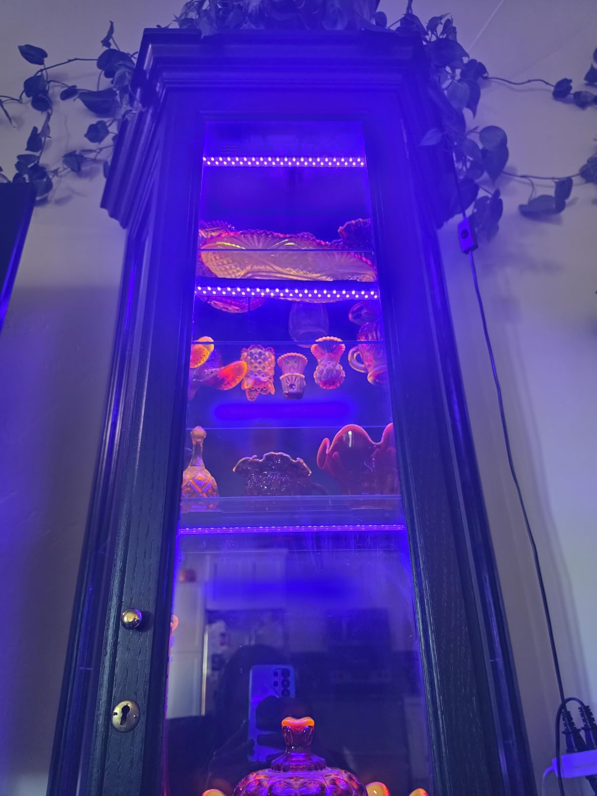 Barrina UV LED Blacklight Bar, 22W 4ft, T5 Integrated Bulb, Black Light Fixture for Blacklight Poster, Halloween Decorations and Christmas Party, Fun Atmosphere with Built-in on, Off Switch (4-Pack) customer photo 1