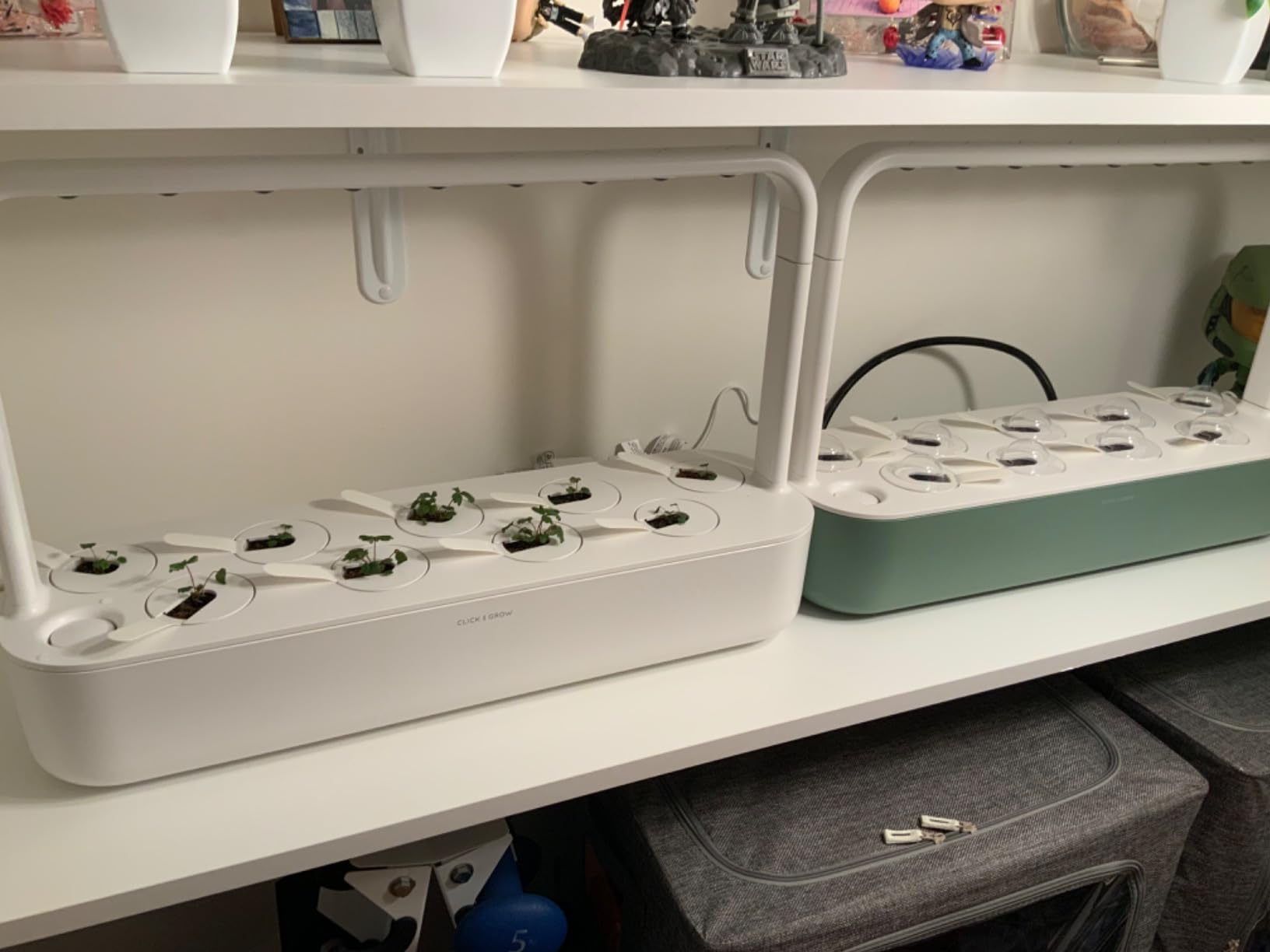 Click & Grow Indoor Herb Garden Kit with Grow Light | Easier Than Hydroponics Growing System | Smart Garden for Home Kitchen Windowsill | Vegetable & Herb Garden Starter Kit with 9 Plant pods, White customer photo 2