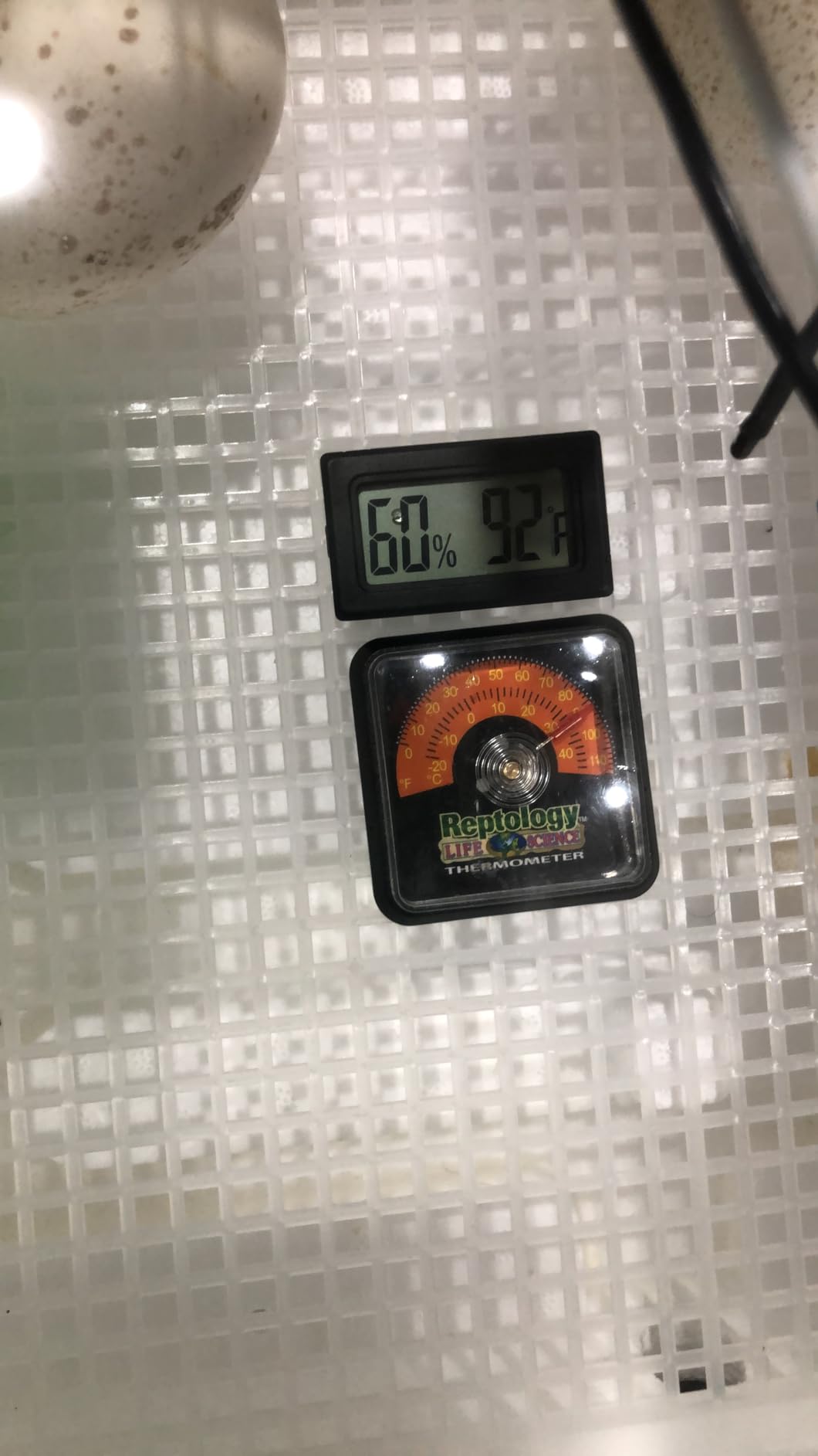 Farm Innovators Model 2450 Pro Series Digital Circulated Air Egg Incubator with Automatic Egg Turning and Humidity Control, 41 Egg Capacity customer photo 3