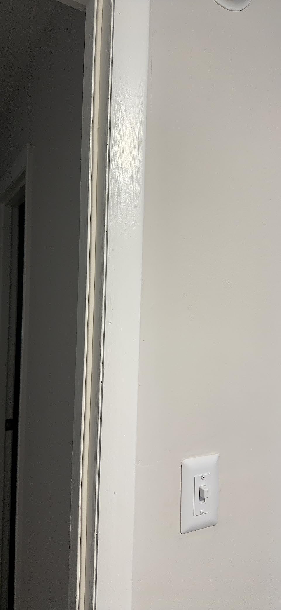 CloudBuyer Door & Window Weather Stripping, Soundproof Insulation Seal Strip with Self-Adhesive Rubber Collision Protection, 16.5 Ft (White) customer photo 2