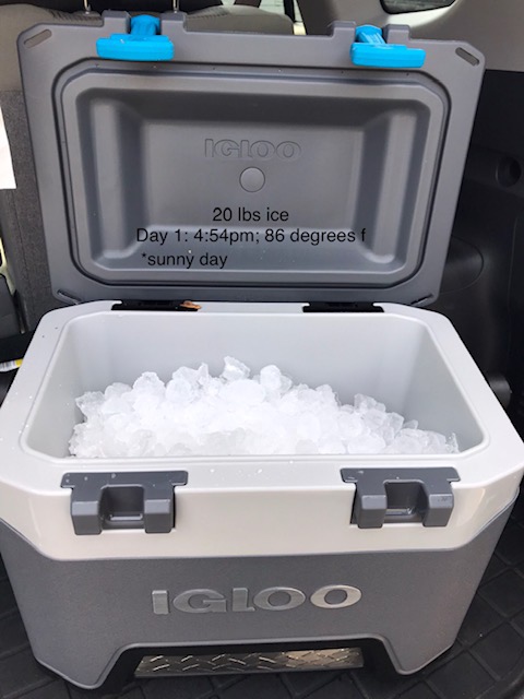 Igloo BMX Cooler Insulated Hard Shell Ice Chest customer photo 1