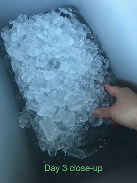 Igloo BMX Cooler Insulated Hard Shell Ice Chest customer photo 2