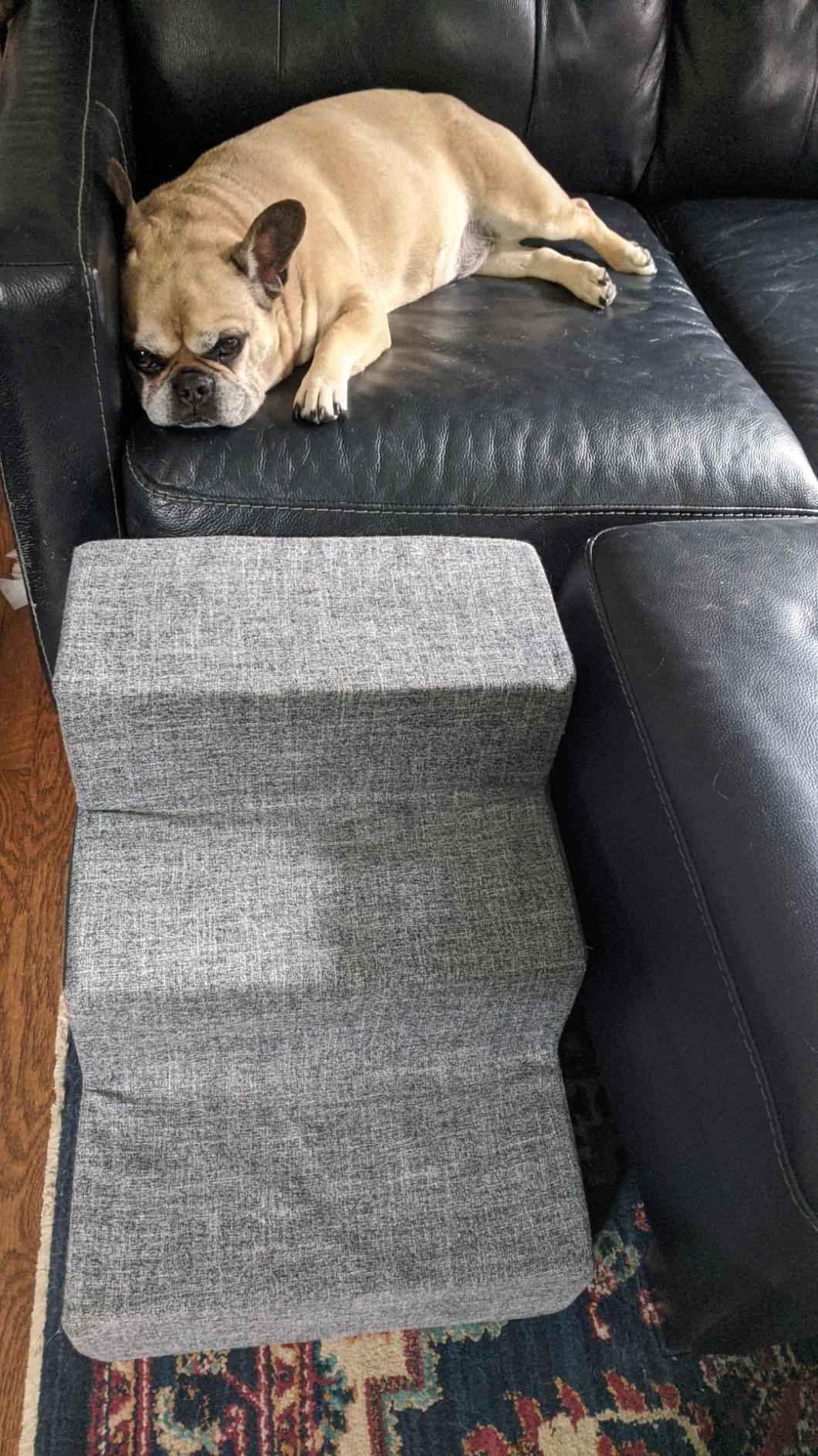 Best Pet Supplies Non-Slip Foam Dog Stair & Pet Ramp, Balanced Indoor Step Support - Foldable Stair, Ash Gray Linen,3-Step customer photo 1