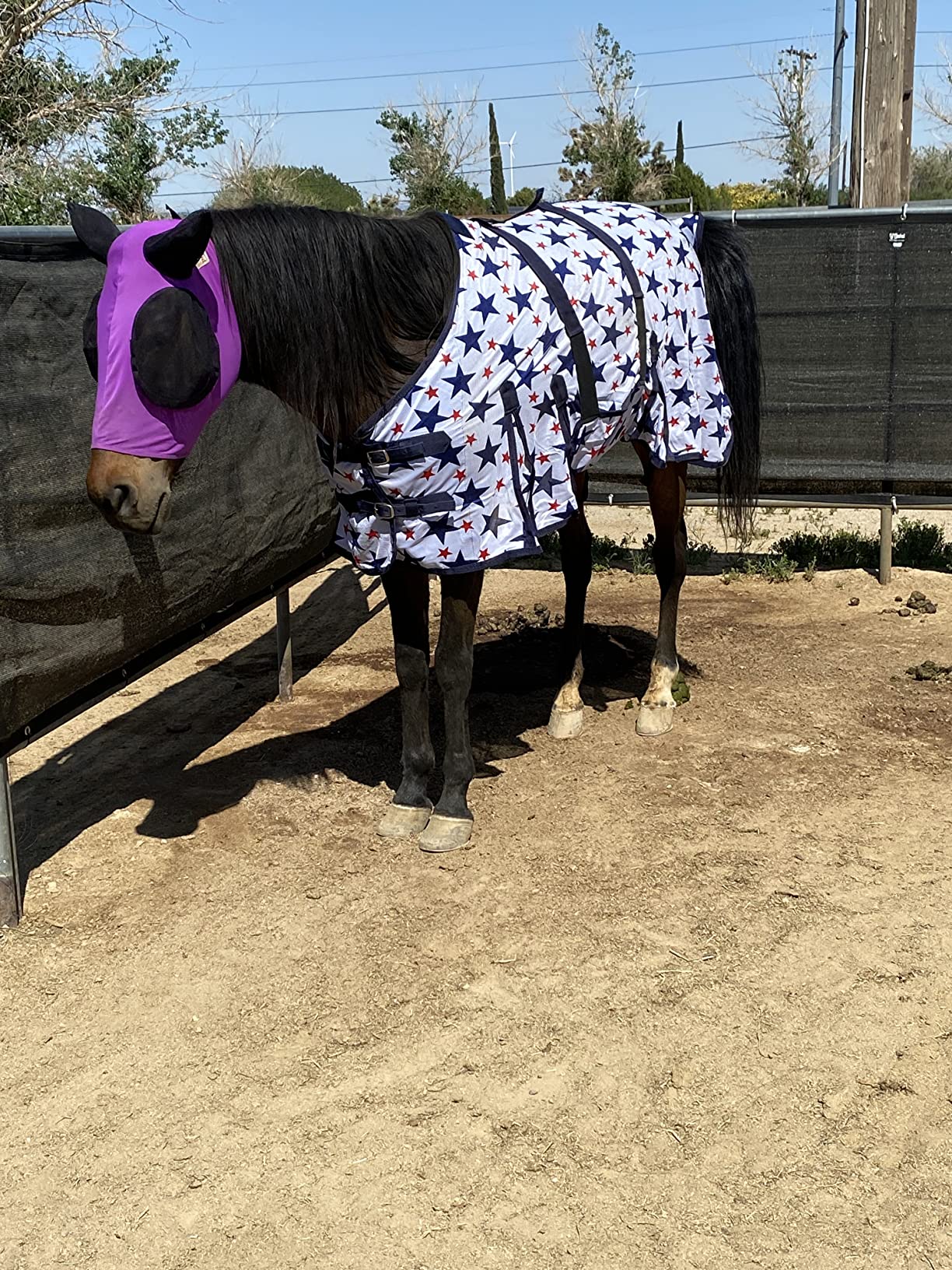 Cashel TA-SPS12 Panel Stall Screen, Black customer photo 1