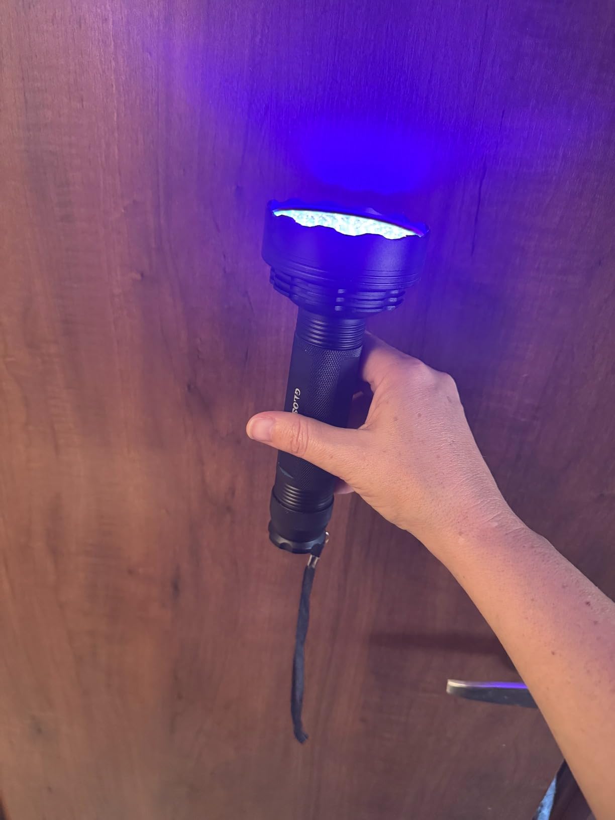 GLOSSDAY UV Flashlight Black Light, 100 LED Black Light Flashlight for Dog/Cat Pet Detector, Scorpions Finder customer photo 1