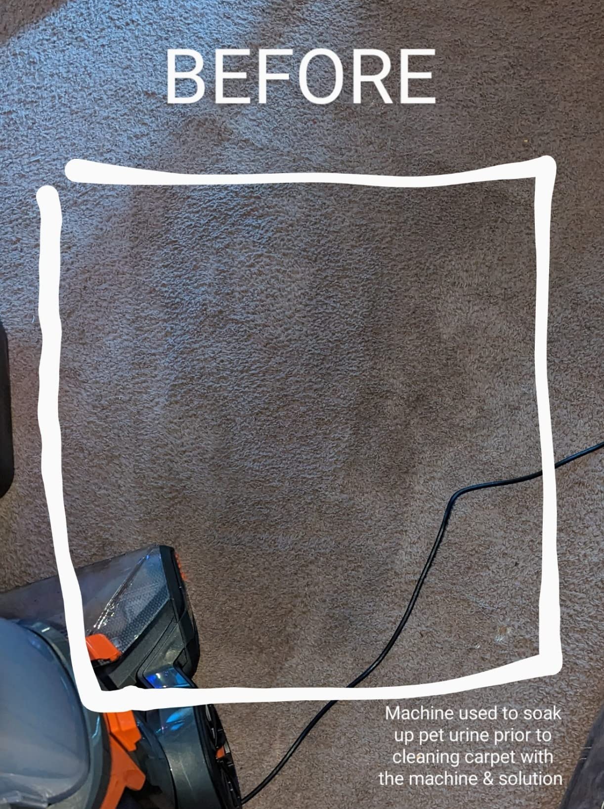 Bissell ProHeat 2X Revolution Pet Full Size Upright Carpet Cleaner, 1548F, Orange customer photo 2