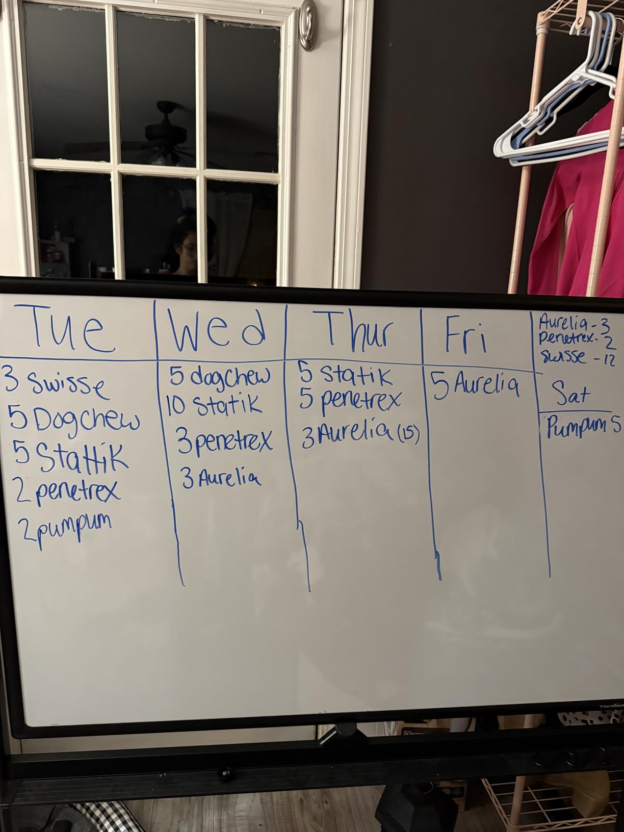 Dry Erase Whiteboard Easel on Wheels - TANKEE 48