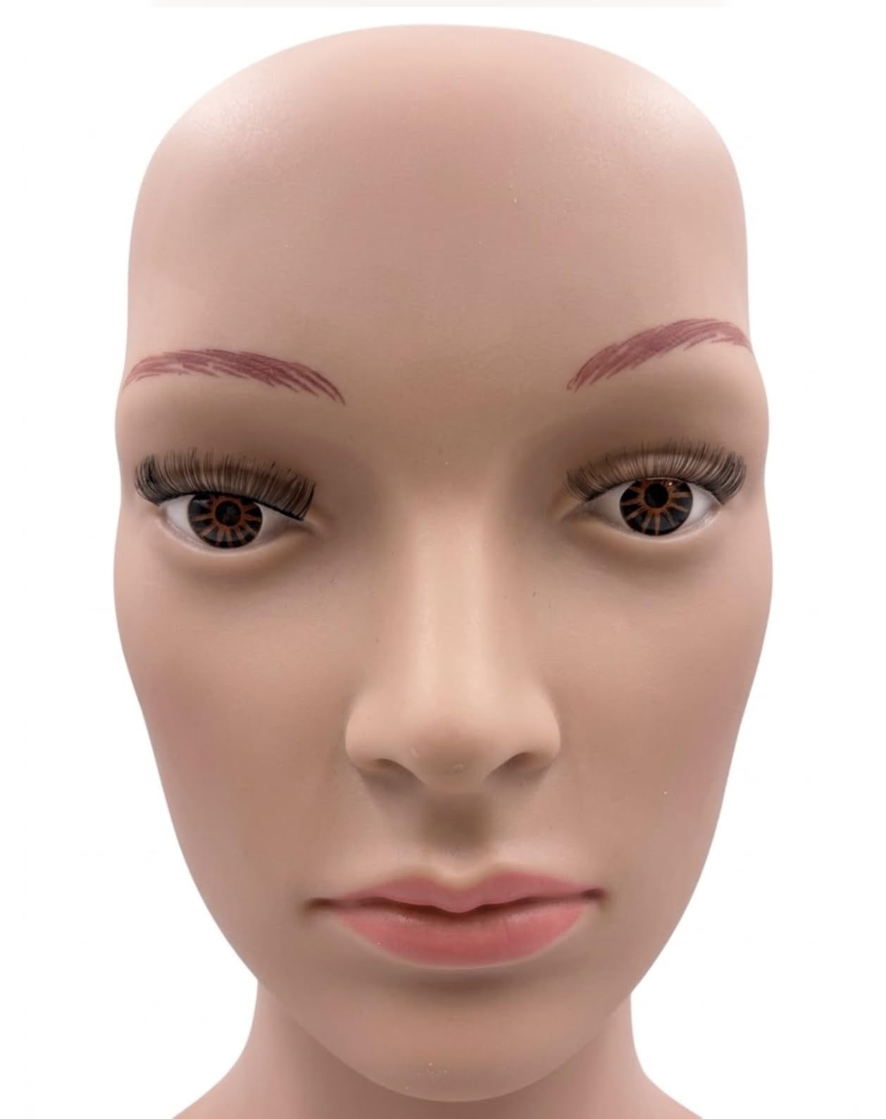 Female Mannequin Full Body Dress Form Stand 69 Inch Adjustable Plastic Detachable Mannequin Stand Realistic Display Head Metal Base (69 Inches-A) customer photo 2
