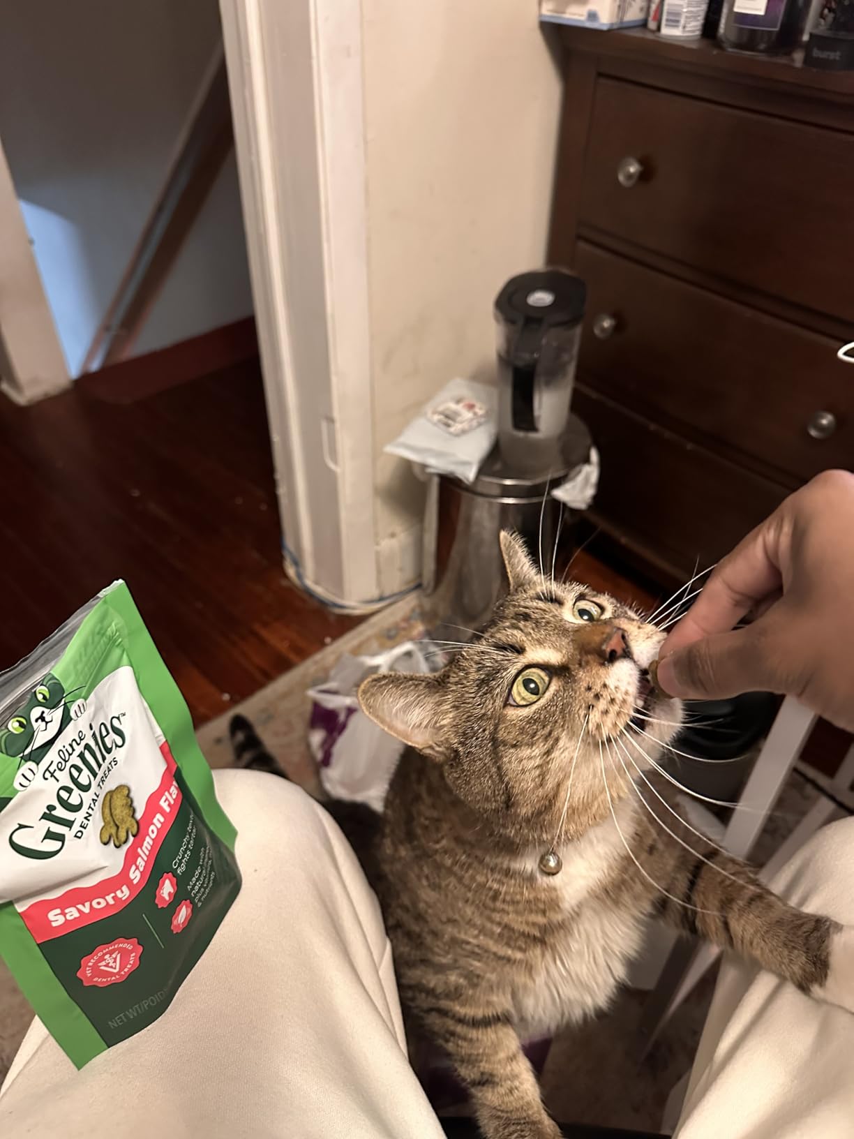 Feline Greenies Dental Cat Treats, Veterinarian-Recommended Adult Natural Dental Cat Treats, Savory Salmon Flavor, 4.6 oz. Pouch customer photo 1