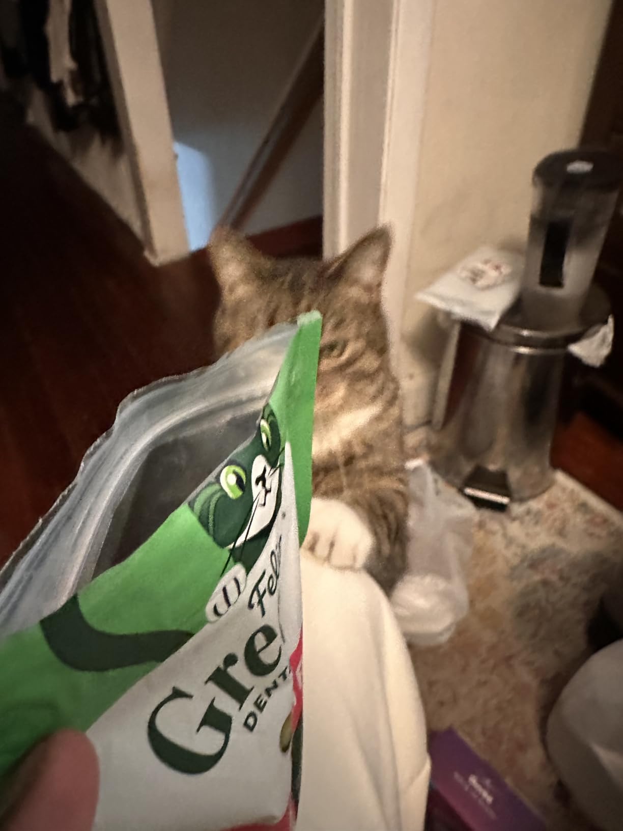 Feline Greenies Dental Cat Treats, Veterinarian-Recommended Adult Natural Dental Cat Treats, Savory Salmon Flavor, 4.6 oz. Pouch customer photo 2