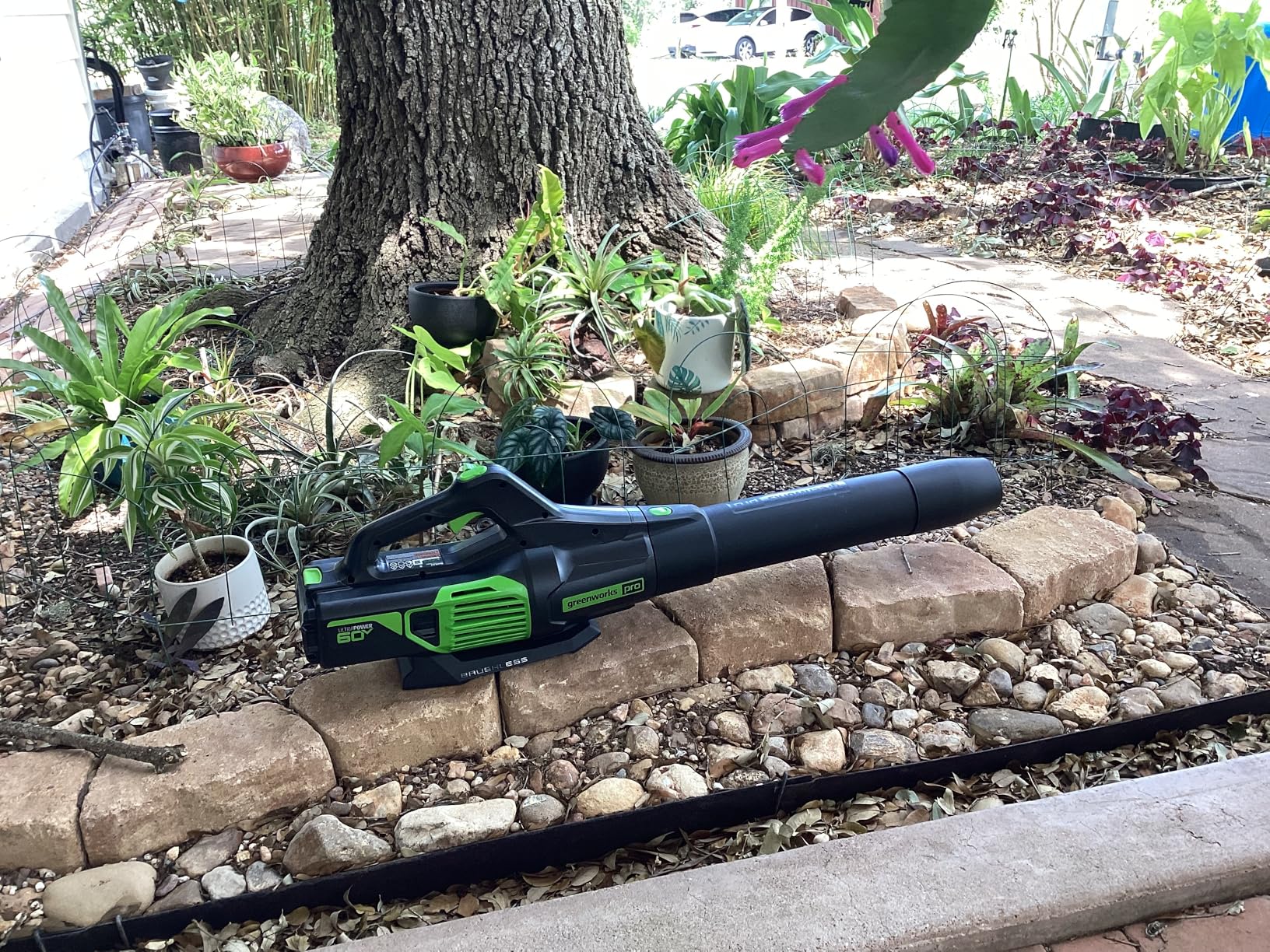 Greenworks Pro 60-Volt Max Lithium Ion 610-CFM GEN2 Brushless Cordless Electric Leaf Blower, Battery and Charger Not Included customer photo 1