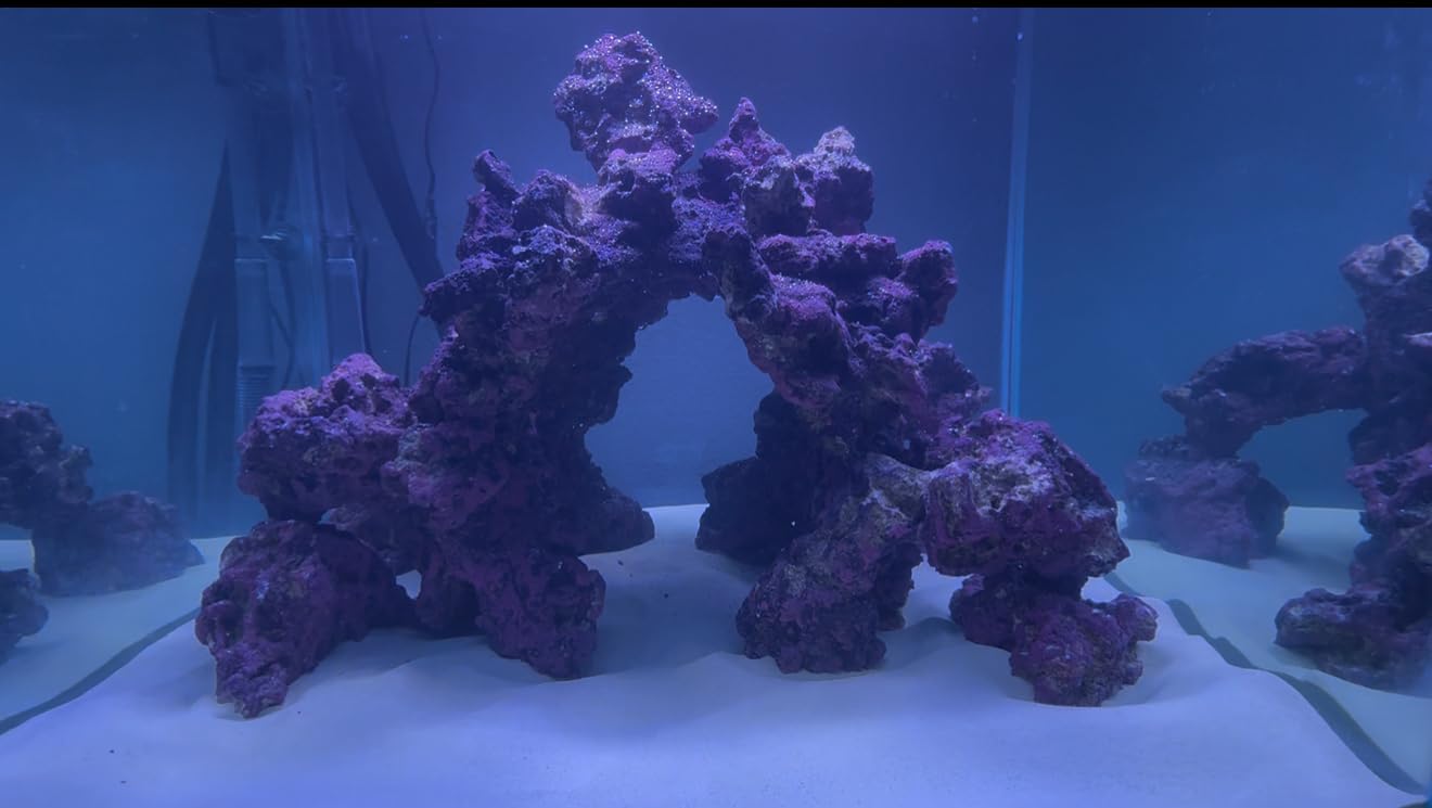 Carib Sea Life Rock Arches for Aquariums customer photo 1