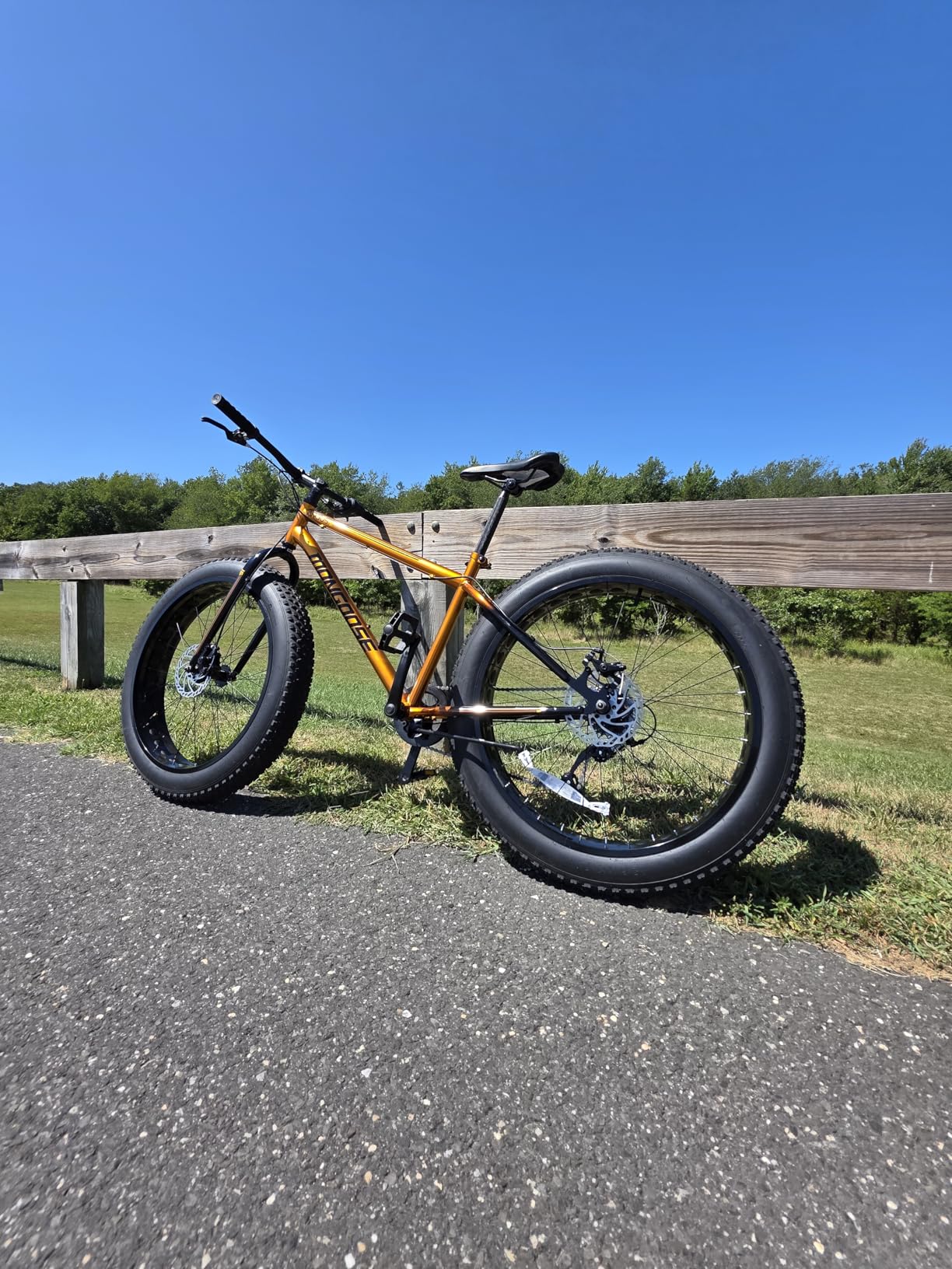 Mongoose Argus Trail Fat Tire Mountain Bike, 20, 24 or 26 Inch Bike for Kids and Adults, 7 or 16 Speed, Aluminum or Steel Frame, Knobby Mountain Fat Tires, Mechanical Disc Brakes customer photo 1