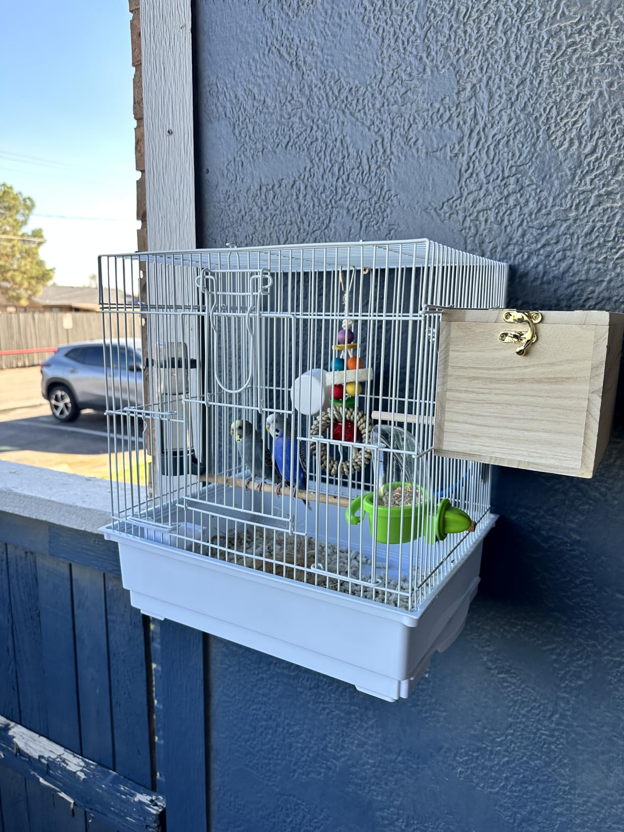 Tfwadmx Parakeet Nesting Box customer photo 1