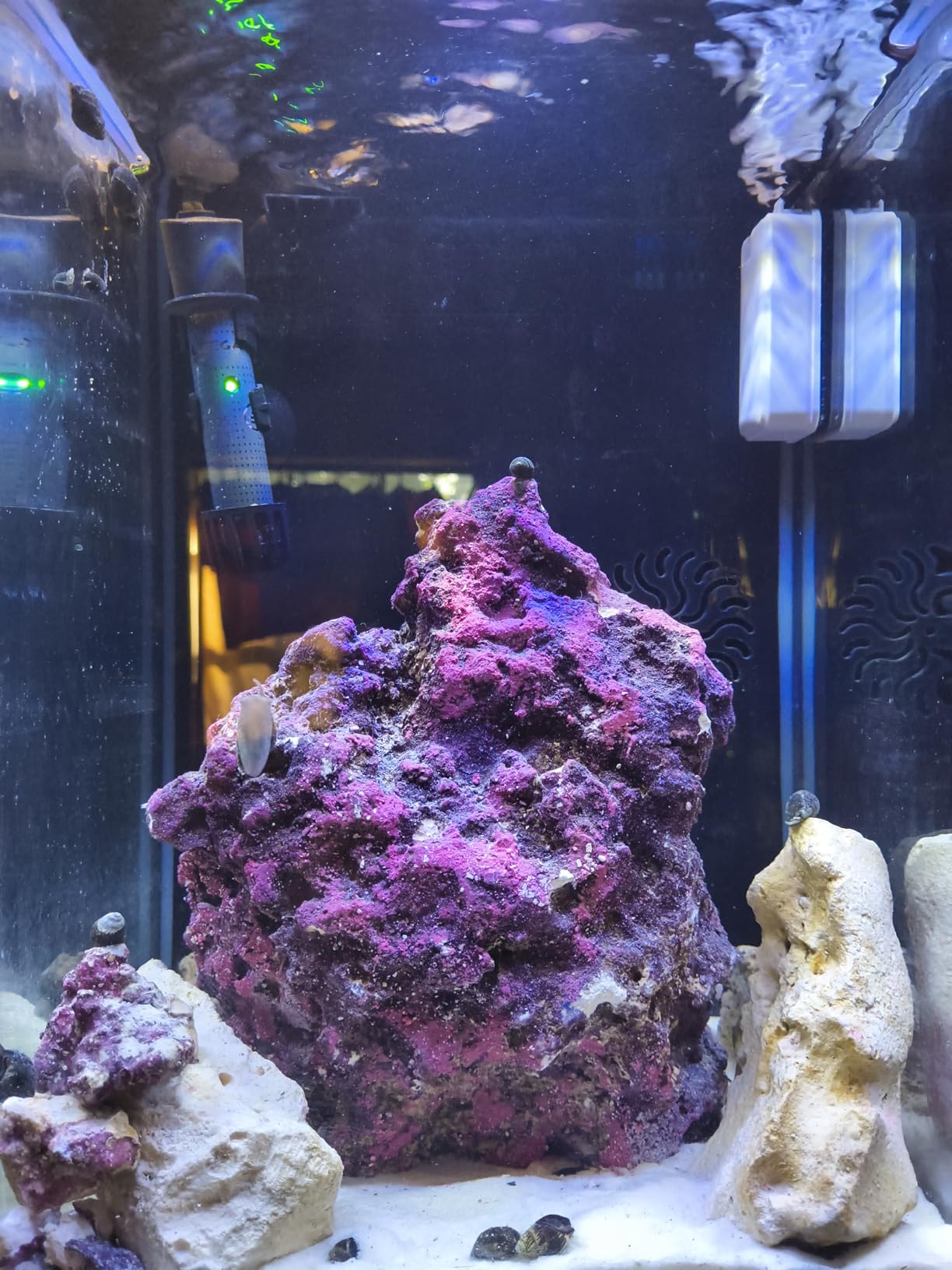CaribSea Original Life Rock Medium customer photo 1