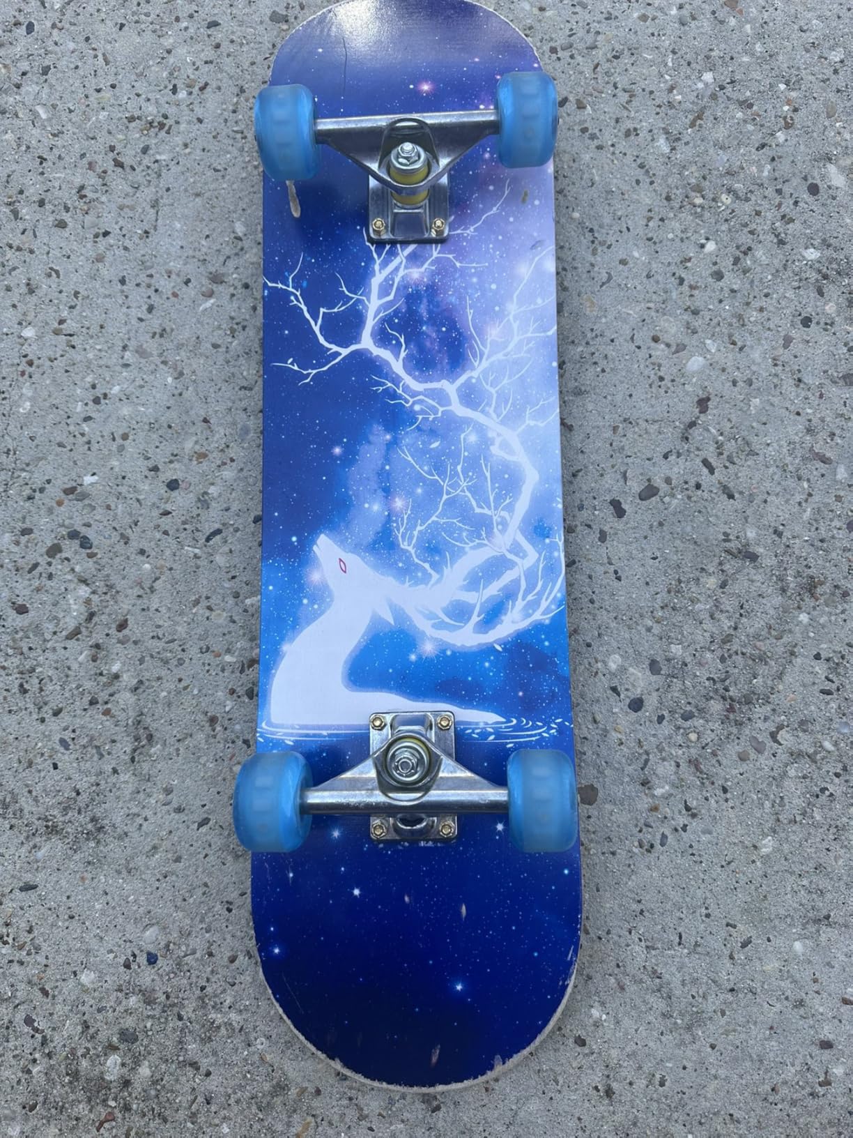 PHOEROS Complete Skateboards- Standard Skateboards for Beginners Kids Boys Girls Teenager- 31''x 8''Canadian Maple Cruiser Pro Skate Board, Skateboards customer photo 2