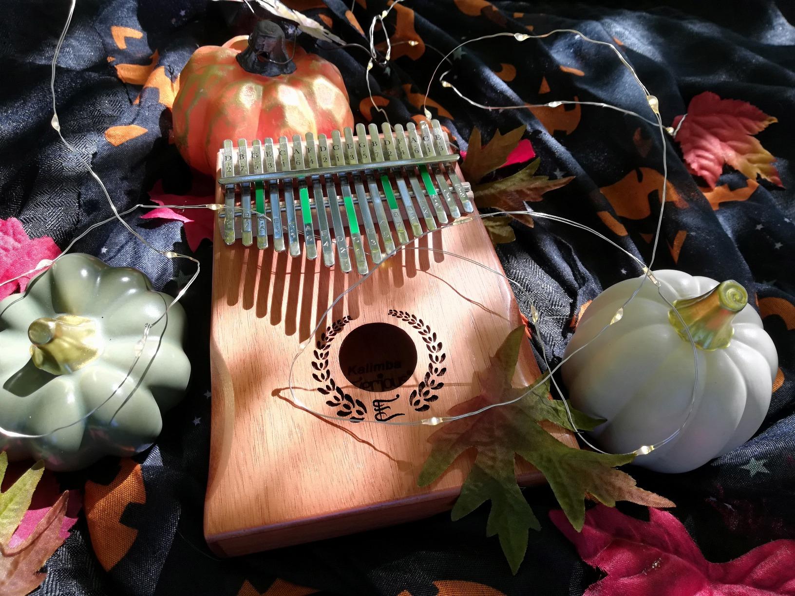Everjoys Kalimba Thumb Piano 17 Keys, Professional Musical Instrument Finger Piano Marimbas with Portable Soft Cloth Bag, Fast to Learn Songbook, Tuning Hammer, All in One Kit customer photo 1