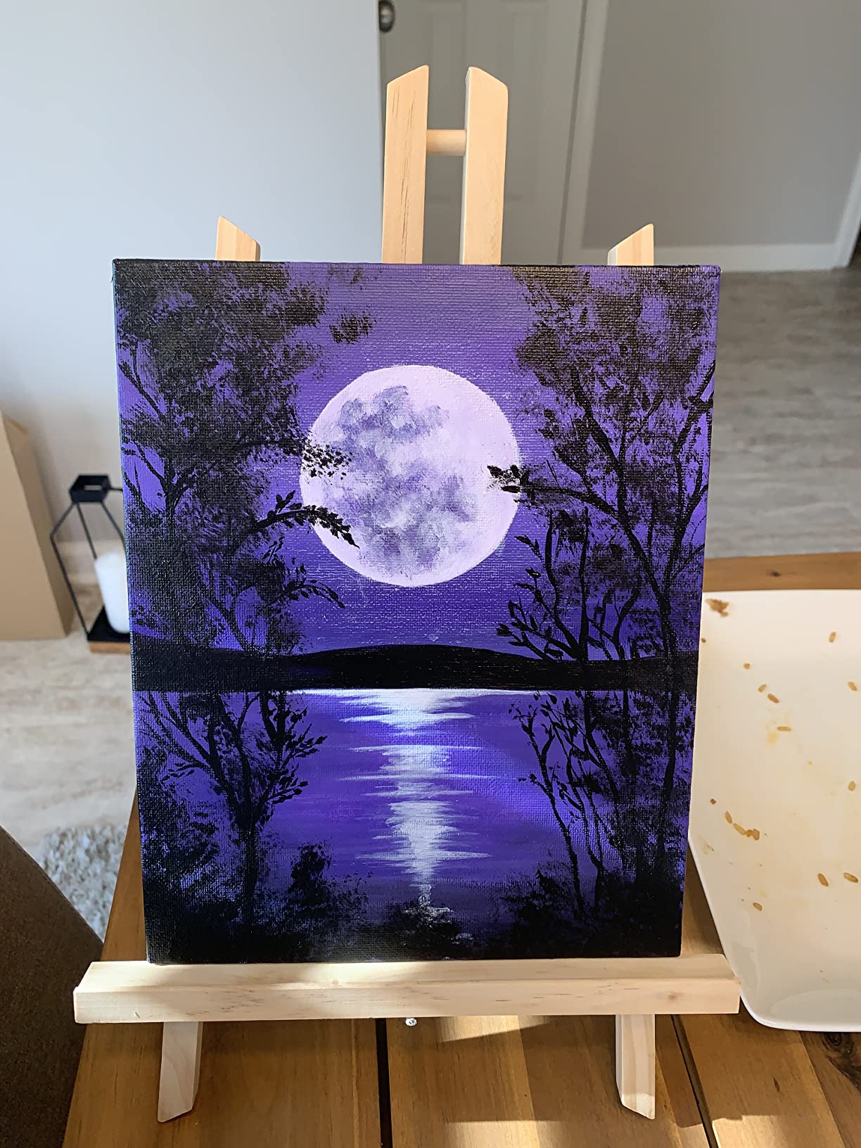 Chalkola 40 Acrylic Paint Set for Adults with 24 Acrylic Paints kit (22ml), 10 Painting Brushes, 5 Canvas for Painting (8x10) & 1 Palette customer photo 2