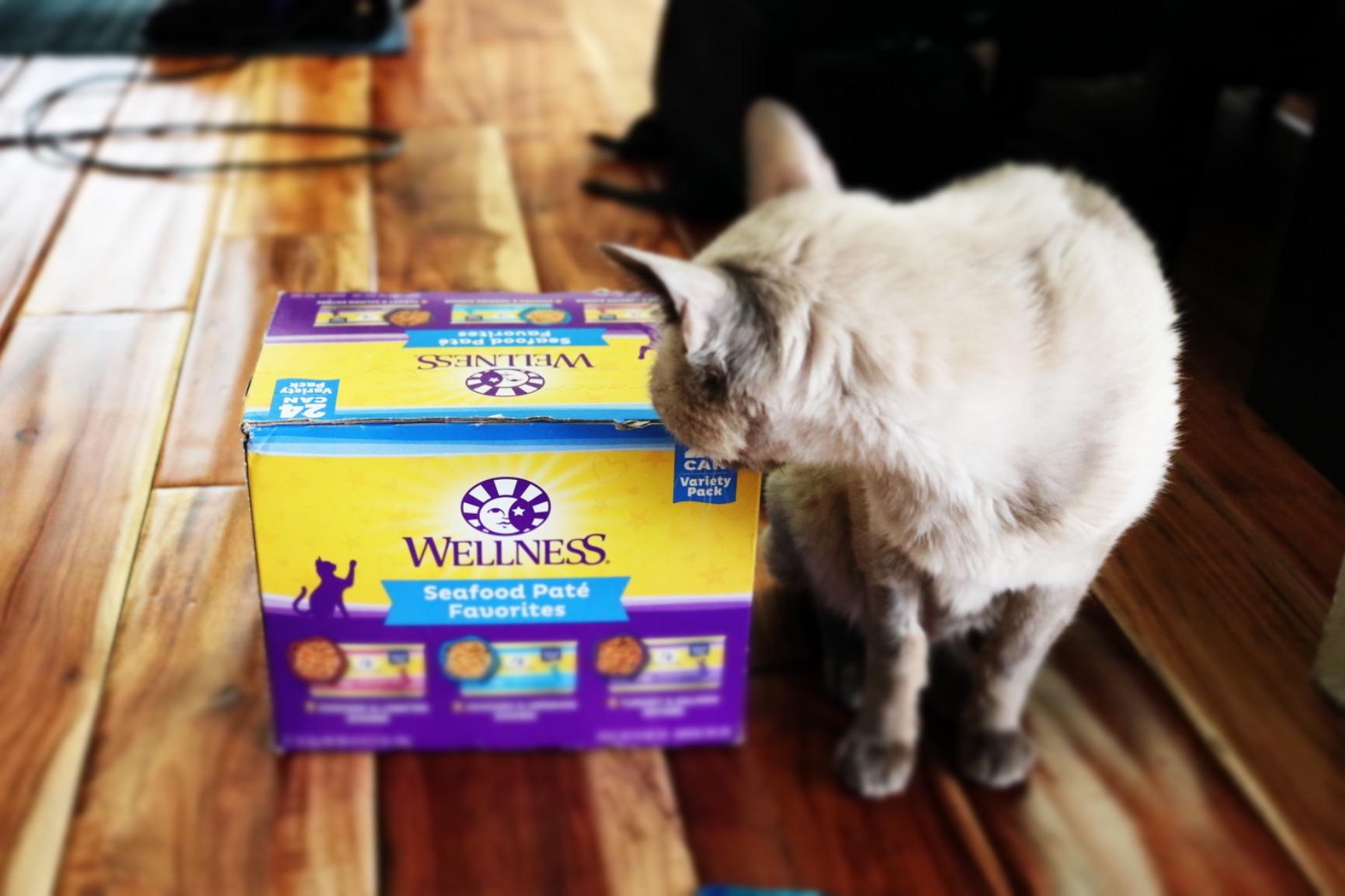 Wellness Complete Health Pate Variety Pack Adult Canned Wet Cat Food, Natural, Protein Rich, Grain Free, Seafood Favorites, 3 oz, Pack of 12 Cans customer photo 1