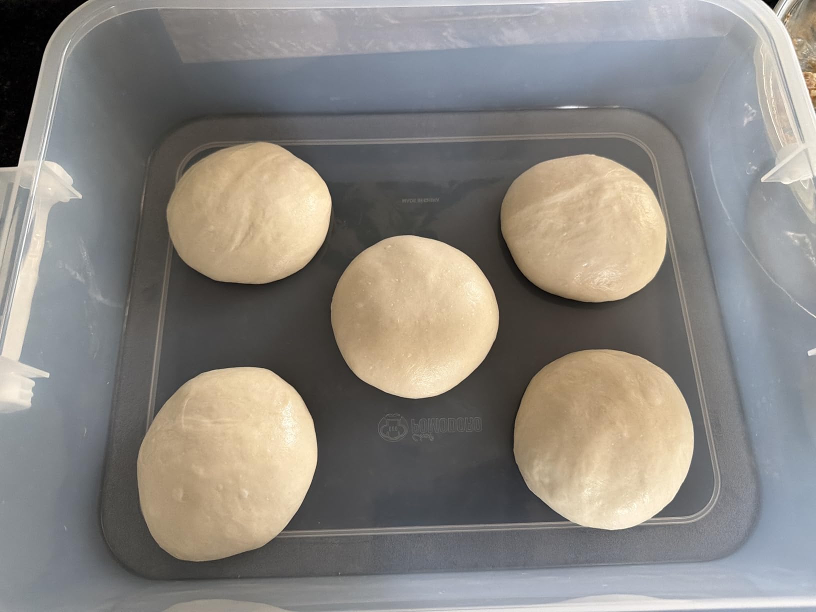 Chef Pomodoro Pizza Dough Proofing Box, 14 x 11-Inch, Preparation Container with Lid, Fits 4-6 Proofing Balls, Household Pizza and Bread Dough Tray With Convenient Carry Handle (Blue) customer photo 2