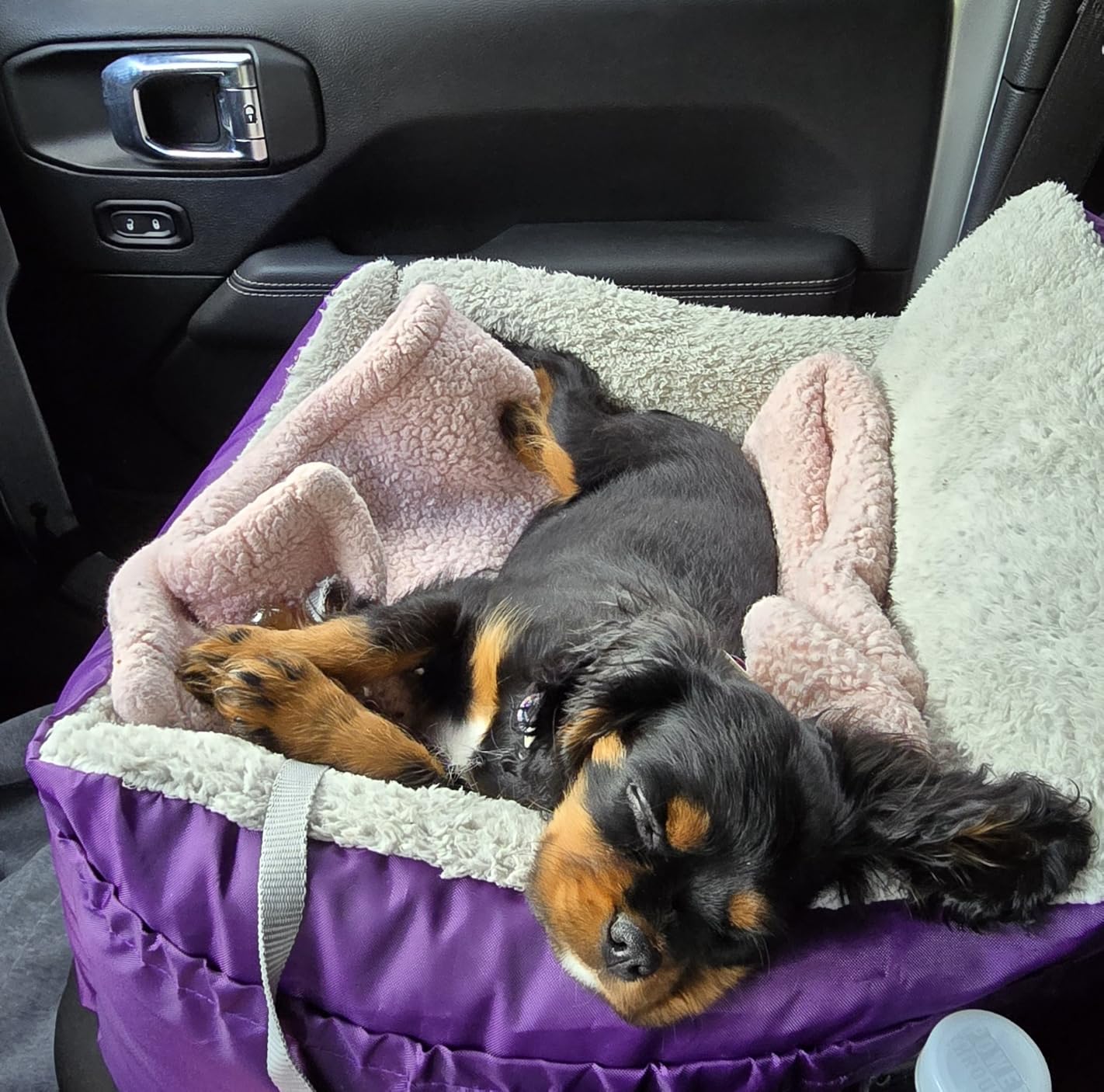 BurgeonNest Dog Car Seat for Small Dogs, Soft Pet Car Travel Home Bed Under 25 lbs, Fully Detachable and Washable Cat Booster Carseats with Storage Pockets and Clip-On Leash Portable Carrier,Black customer photo 1