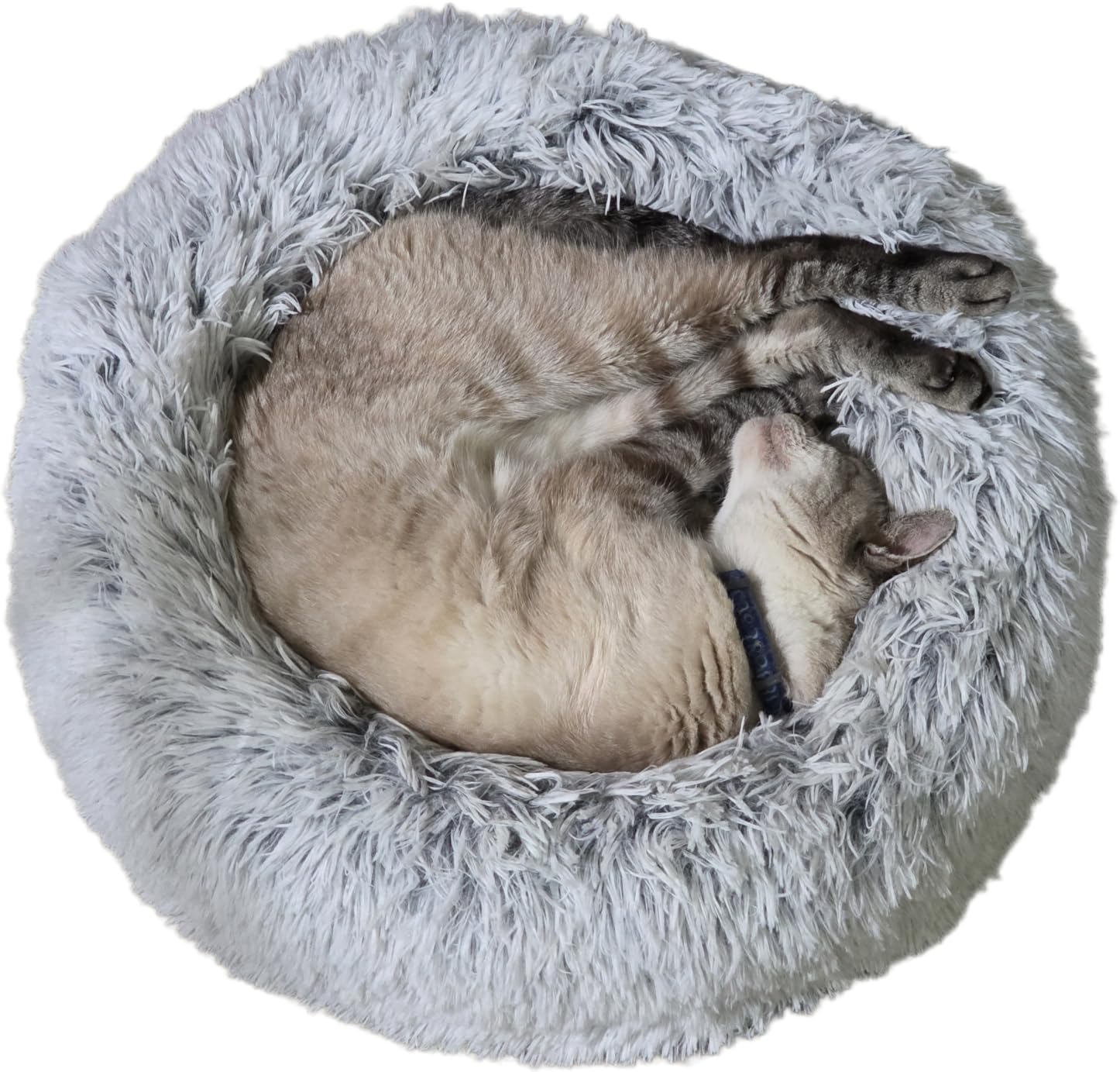 WESTERN HOME WH Calming Soft Round Dog & Cat Bed, Anti-Anxiety Donut Cuddler Warming Cozy Fluffy Faux Fur Plush Cushion Bed for Small Medium Dogs and Cats, Light Grey customer photo 2