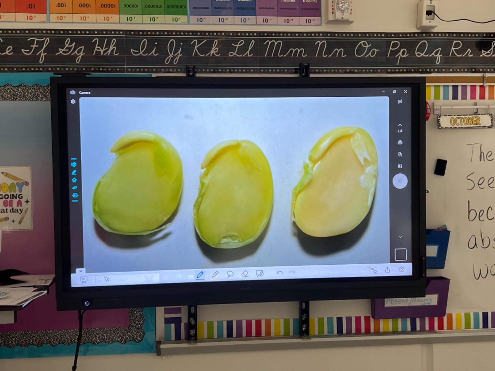 INSWAN INS-2 4K USB Document Camera - 13MP, Dual Auto-Focus, LED Light & Mic customer photo 1