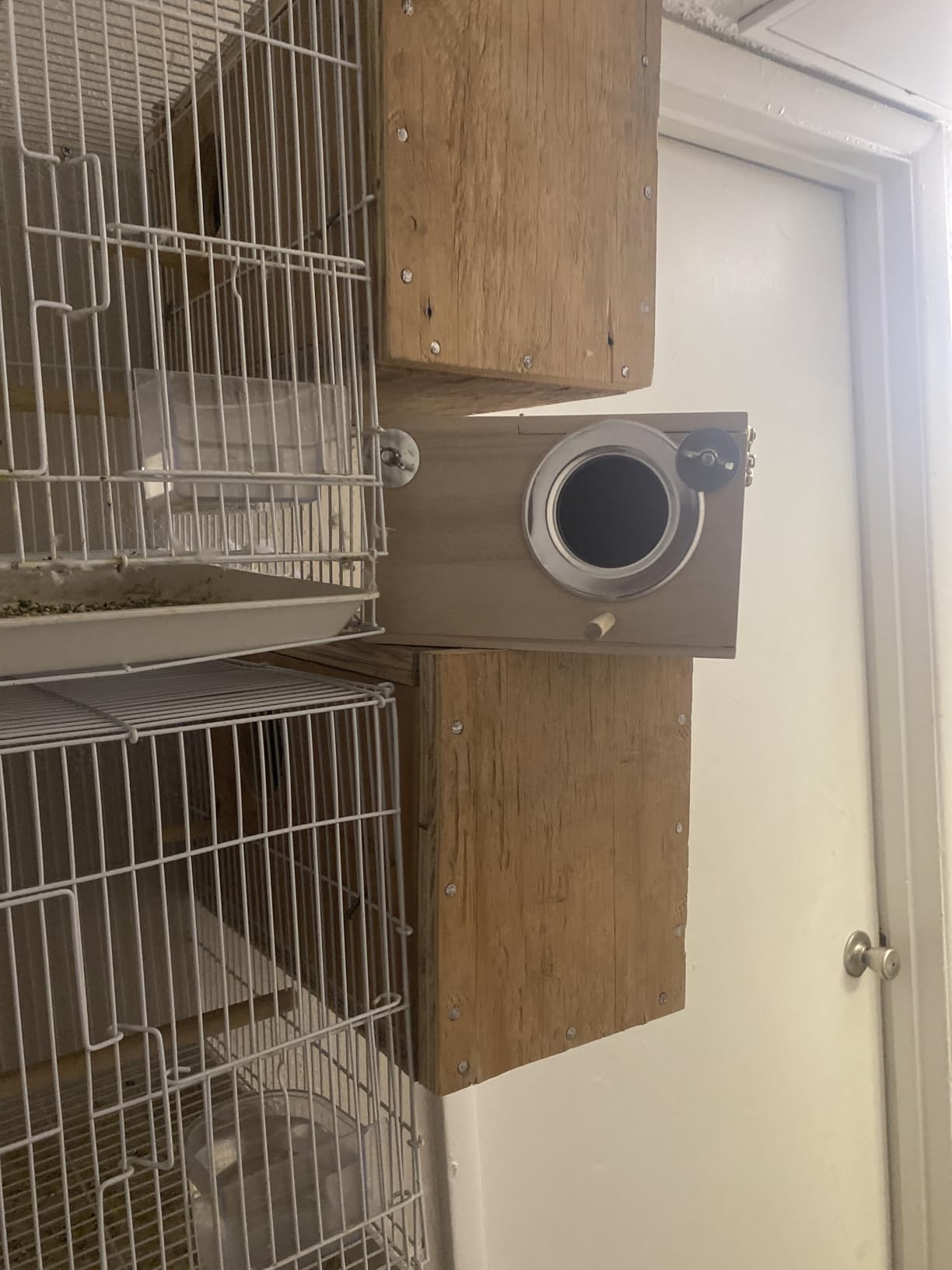 kathson Parakeet Nest Box customer photo 1