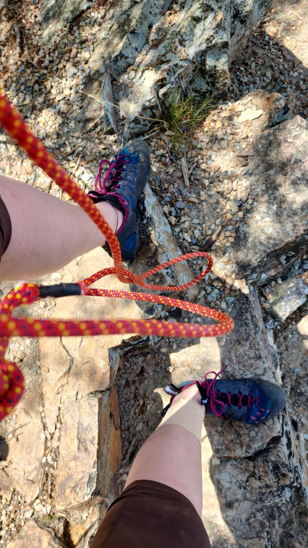 Womens Tarantulace Rock Climbing Shoes customer photo 2
