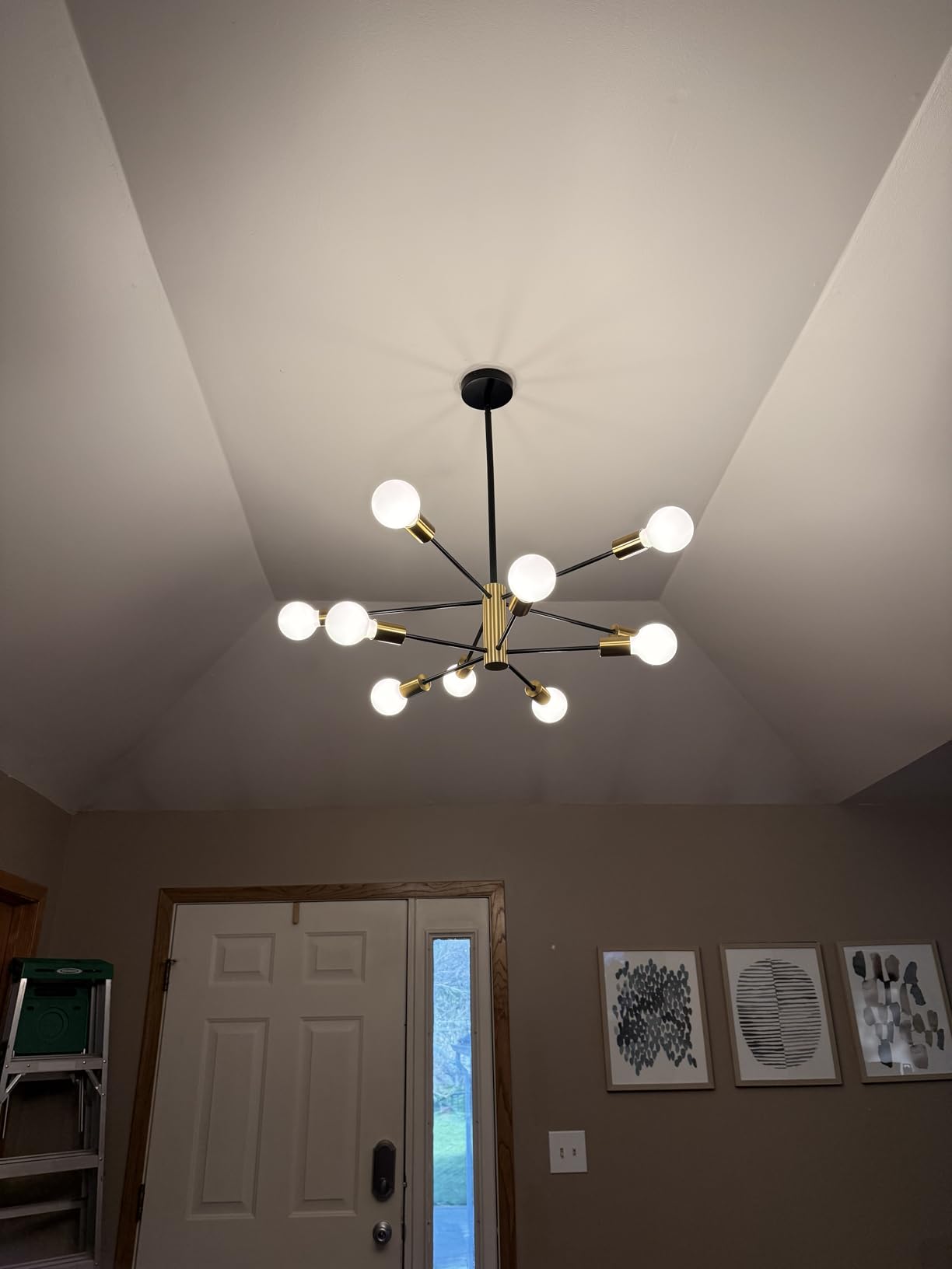RUIYEY Modern Chandelier Ceiling Light Fixture - 33.4 12-Light Gold and Black Sputnik Chandeliers, Height Adjustable Industrial Farmhouse Pendant Lighting customer photo 2