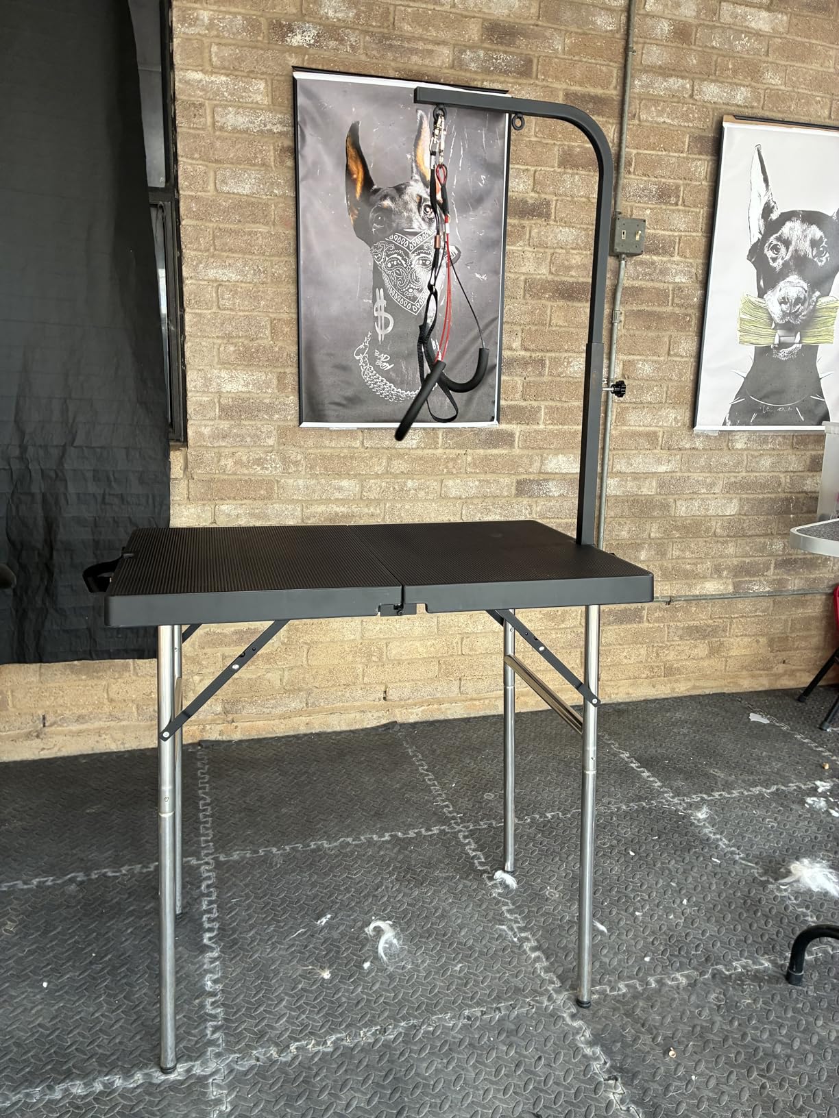 SHELANDY Portable Professional Pet Grooming Table with Double Leashes and Clamp for Large and Medium Dogs, 32 * 20 inch customer photo 1