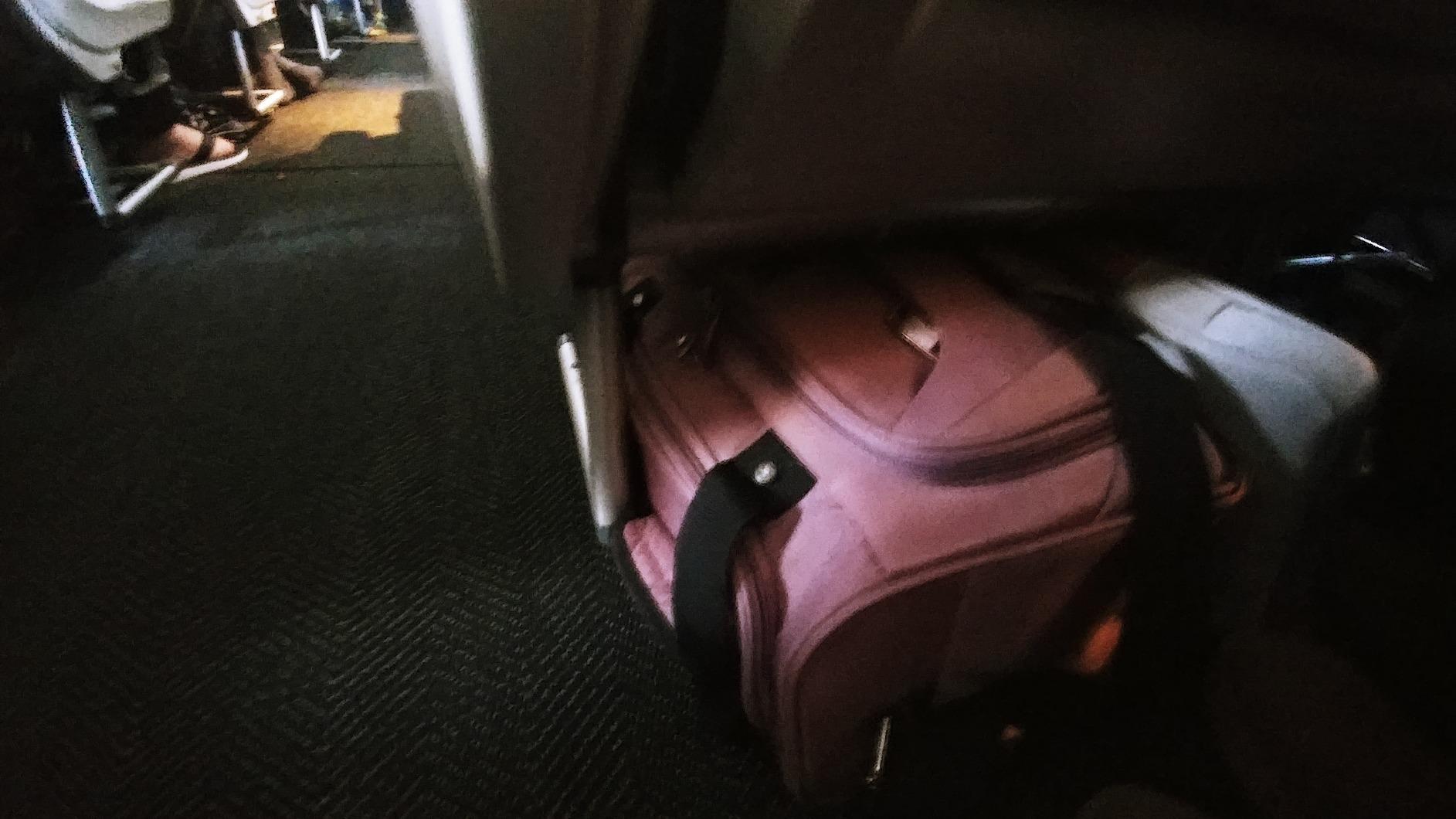 Travelpro Maxlite 5 Softside Expandable Luggage with 4 Spinner Wheels, Lightweight Suitcase, Men and Women, Orchid Pink Purple, Checked-Large 29-Inch customer photo 1