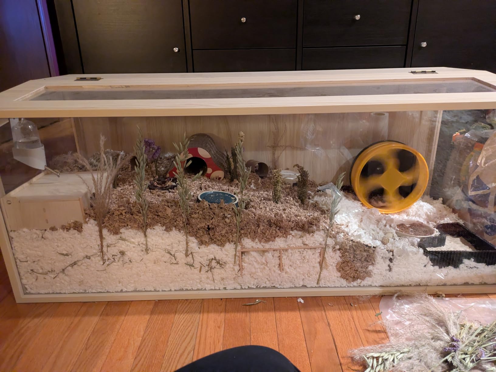 Prolee Hamster Cage Chewproof Wooden 40 Inch Guinea Pig Cages Mice and Rat Habitat Openable Top with Acrylic Sheets Solid Built customer photo 1