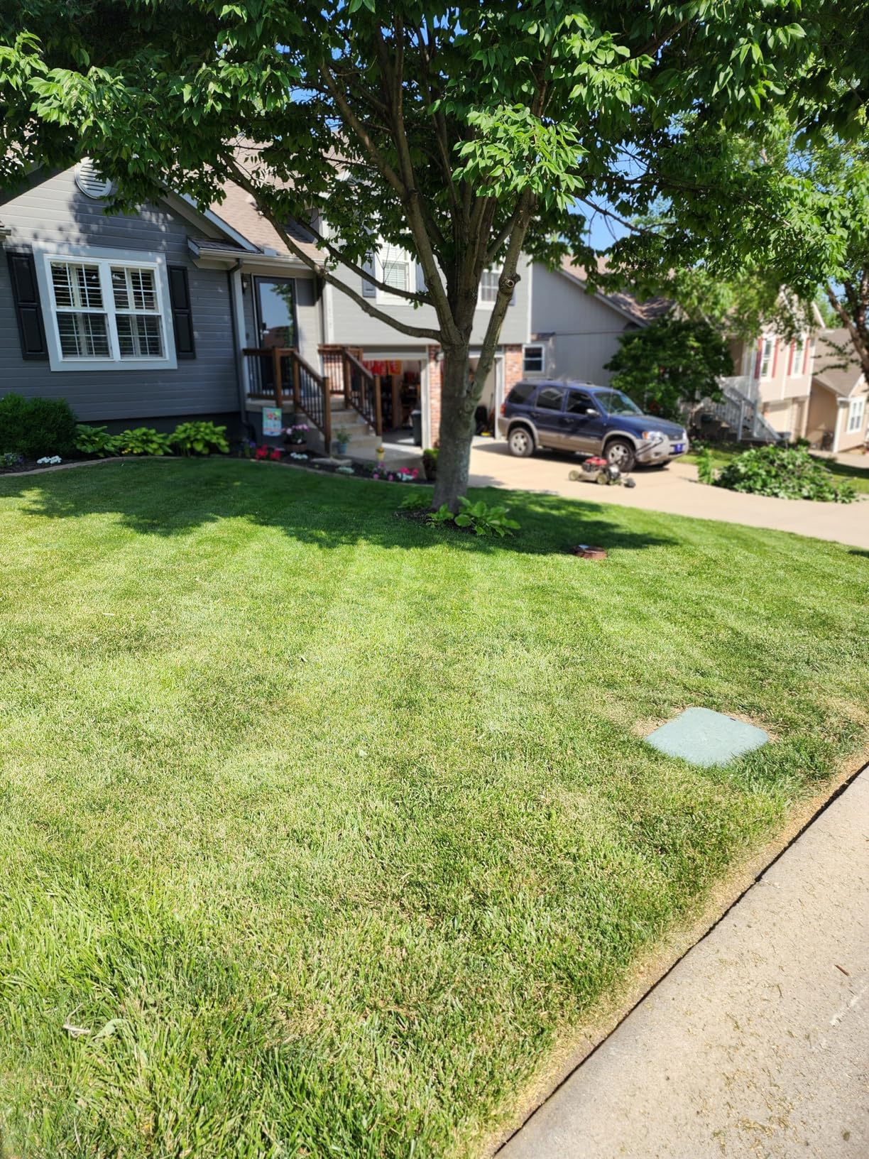 Lawn Stryper- Generation 3 Lawn Striping System - ONLY Works with Honda 20