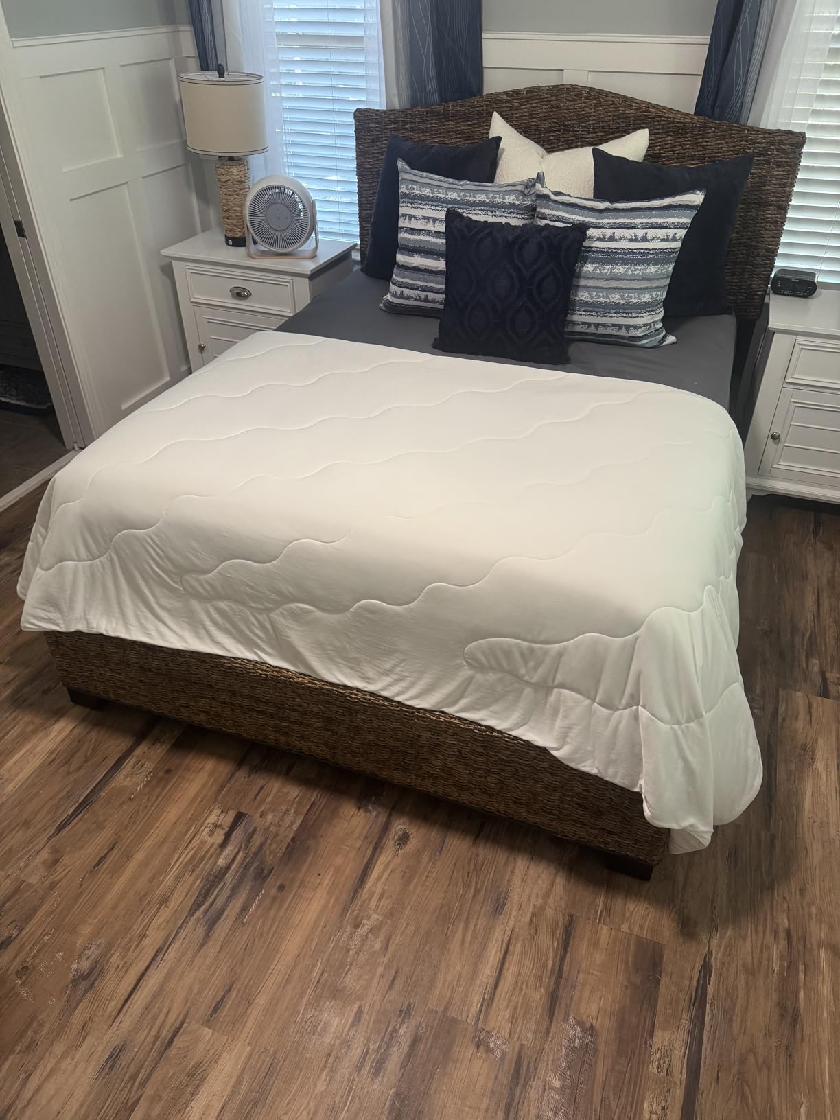 EASELAND Cooling Comforter Queen, 2026 Cloud-CHILL TECH, Q-MAX 0.45+, Double-Sided Cool Design Soft Fluffy Cooling Blanket for Night Sweats Hot Sleeper customer photo 1