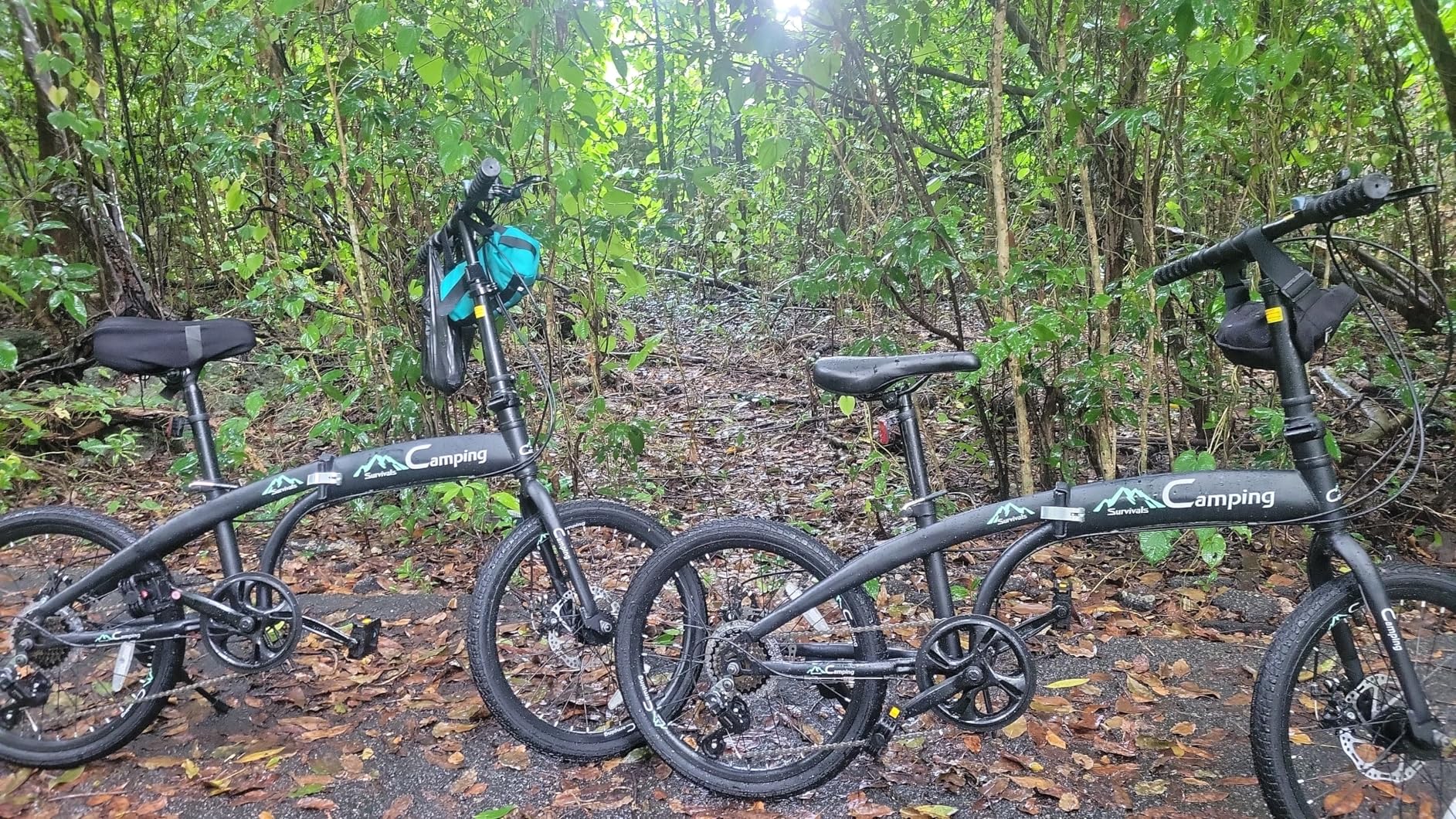 Ktaxon 20 in Folding Bike Adult Bike, 7-Speed Folding Bicycle with 100% Assembled, Double Shock Effect, Powerful Mechanical Dual Disc Brakes customer photo 1