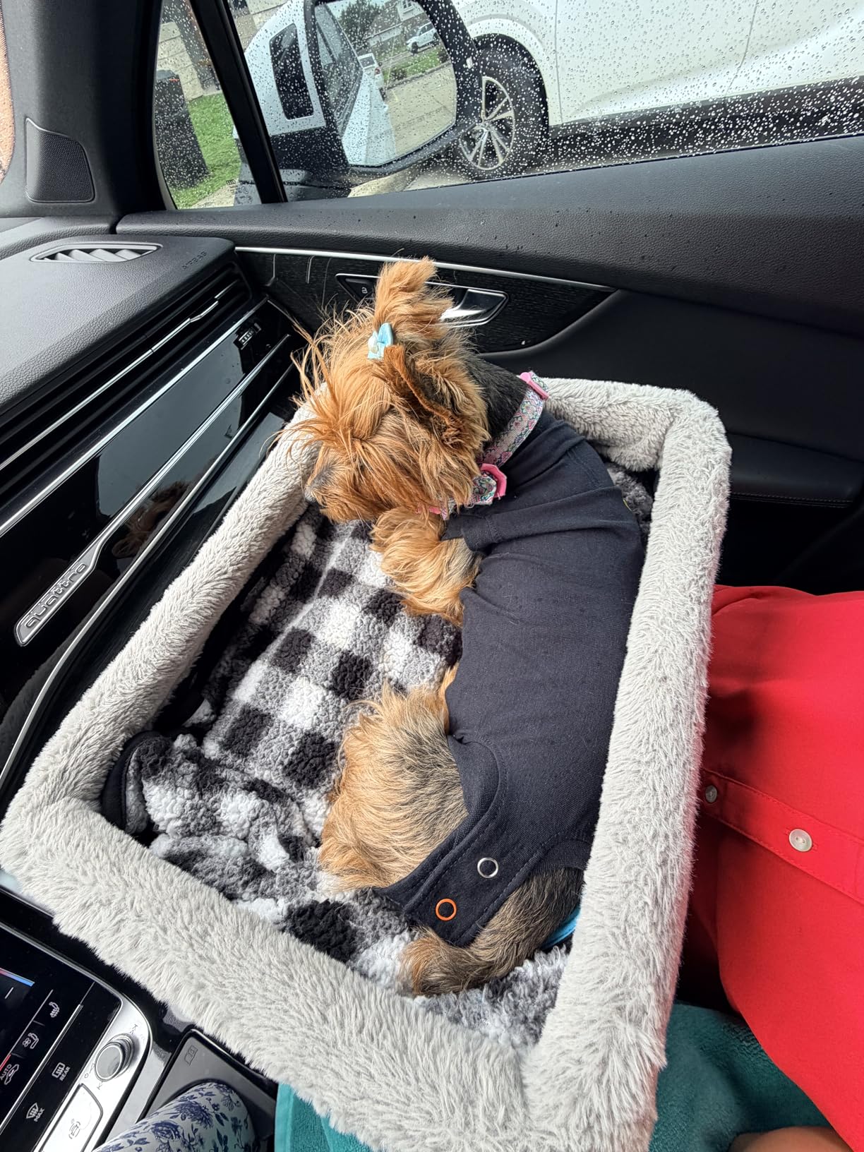 JOEJOY Deluxe Dog Booster Seat with Sturdy Metal Frame and Safety Leash for Small Pets up to 20 lbs - Portable Puppy Dog Car Seat with Thick Cushion and Storage Pockets for Small Dogs customer photo 1