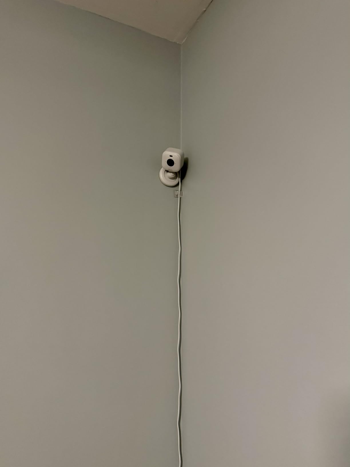 Blink Mini 2 - Home Security & Pet Camera with HD video, color night view, motion detection, two-way audio, and built-in spotlight - 1 camera (White) customer photo 2