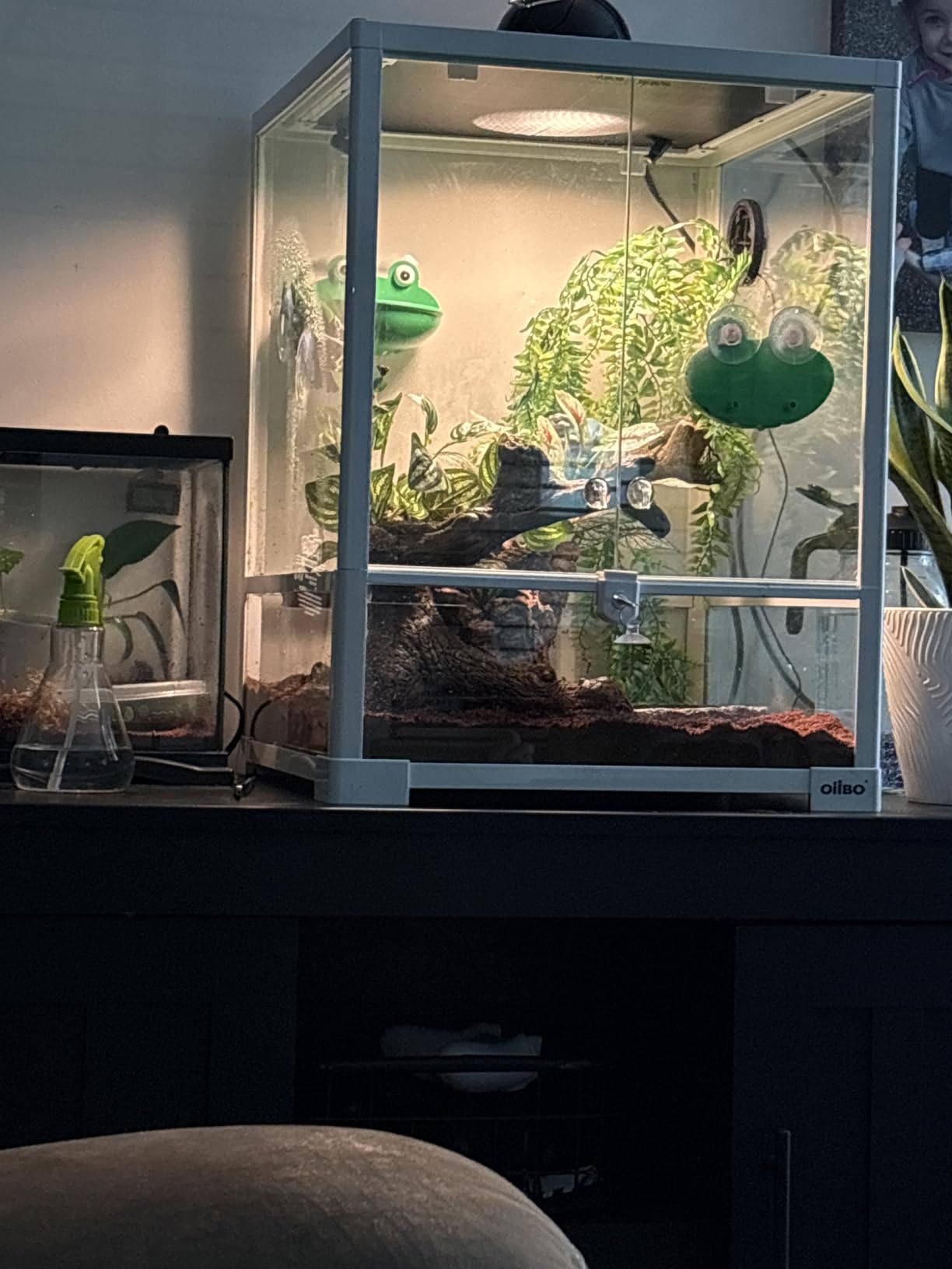 180 Gallon Large Reptile Terrarium, 48