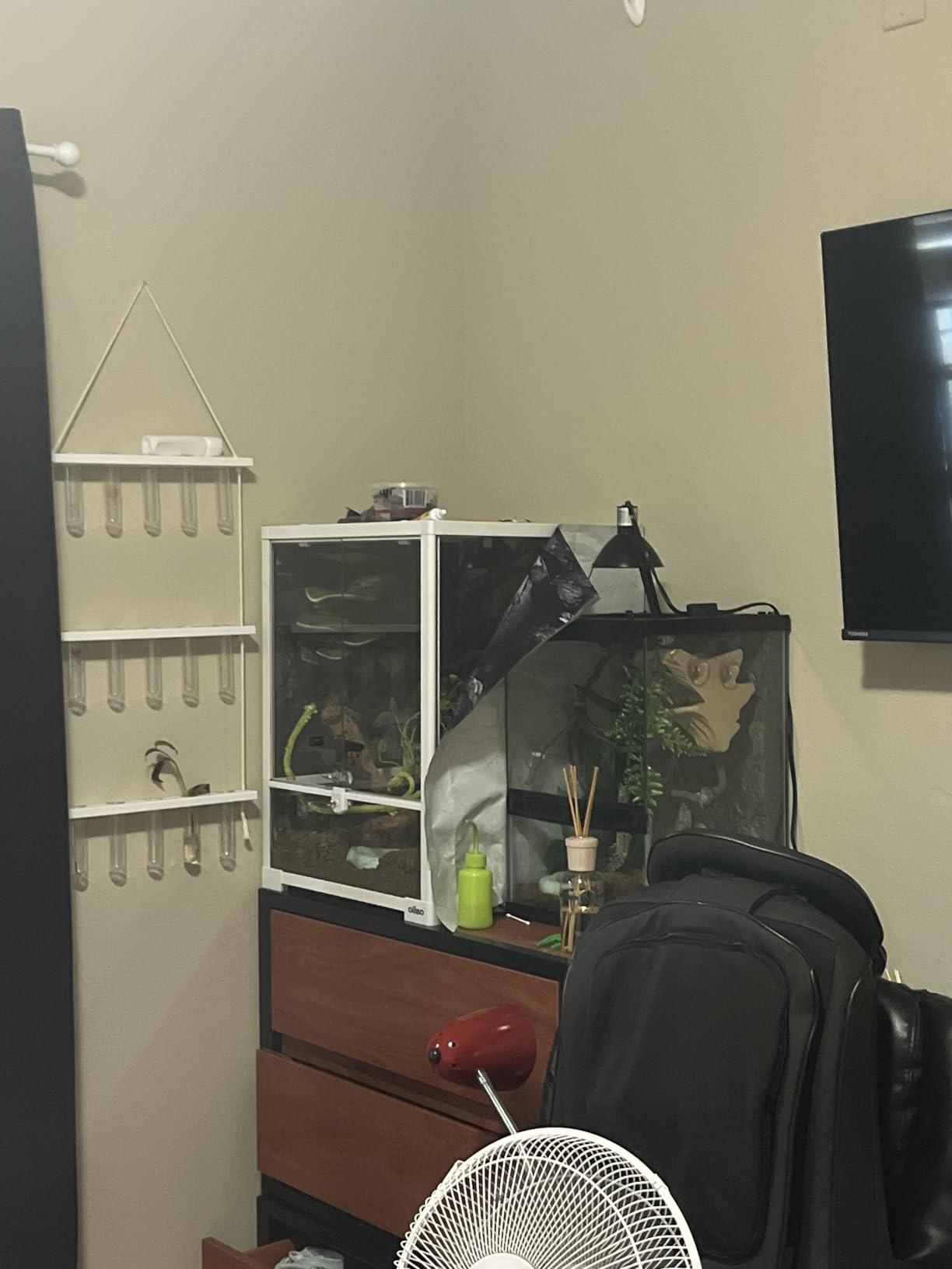 180 Gallon Large Reptile Terrarium, 48