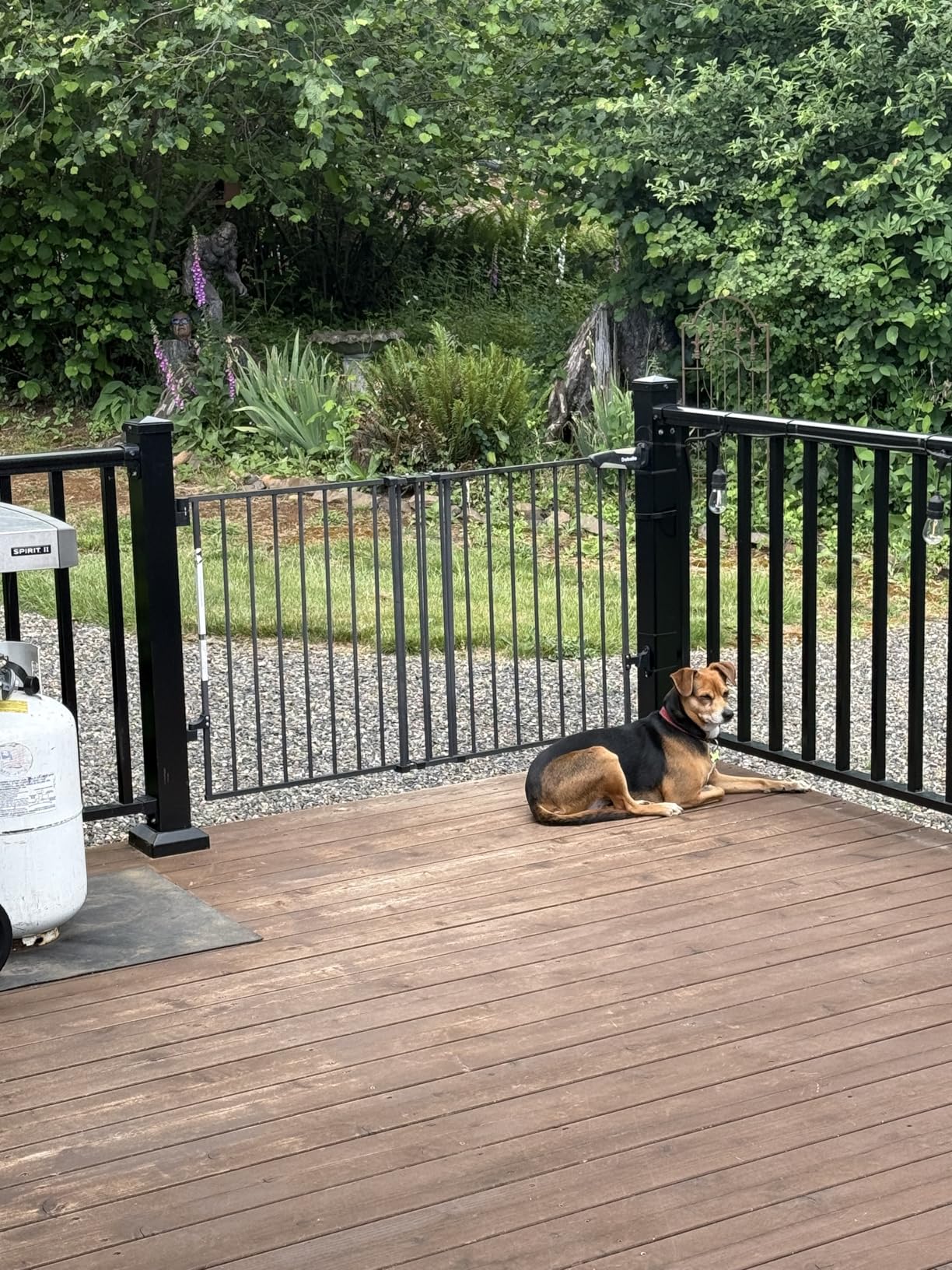 Babelio Baby Gate for Stairs, Kitchen & Doorways, No Bottom Bar| One-Handed Operation| Auto-Close| Hardware Mount (Drill Needed) Safety Dog/Pet Gate (Black - B17, 26-43
