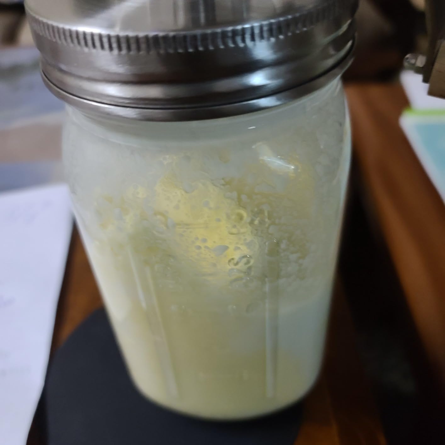 Premium Butter Churner - 32oz Glass Jar with Stainless Steel Paddle, Hand Crank Butter Maker customer photo 2