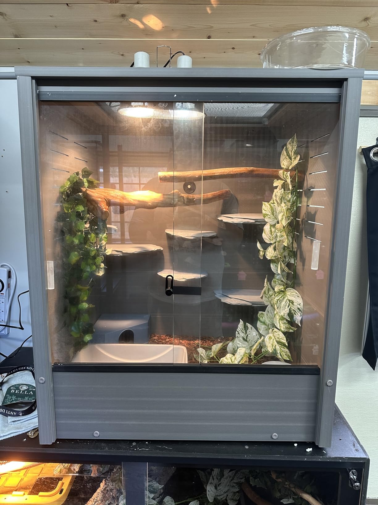 New Age Pet Madagascar Vertical Reptile Lounge Habitat, (30