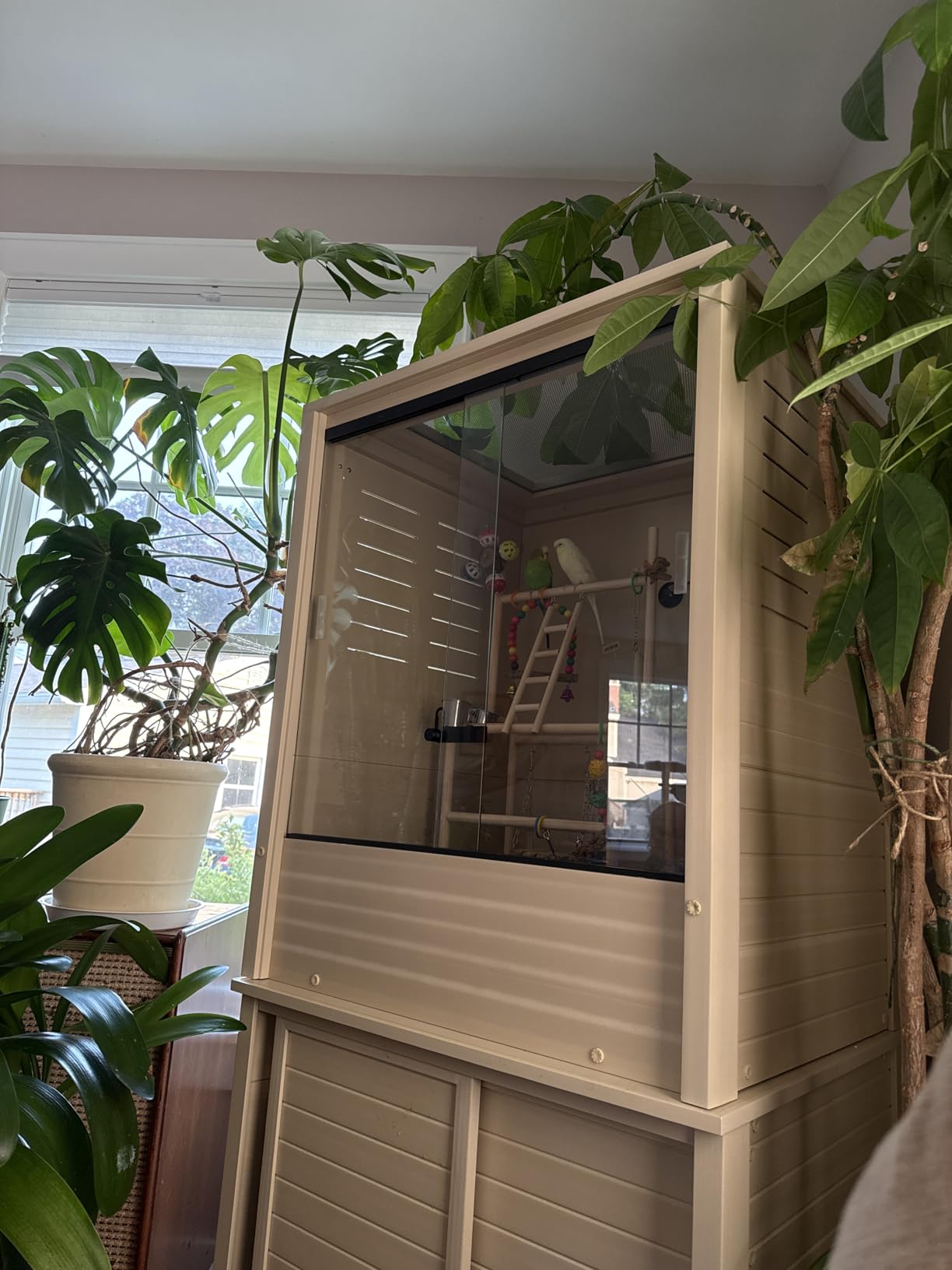 New Age Pet Madagascar Vertical Reptile Lounge Habitat, (30