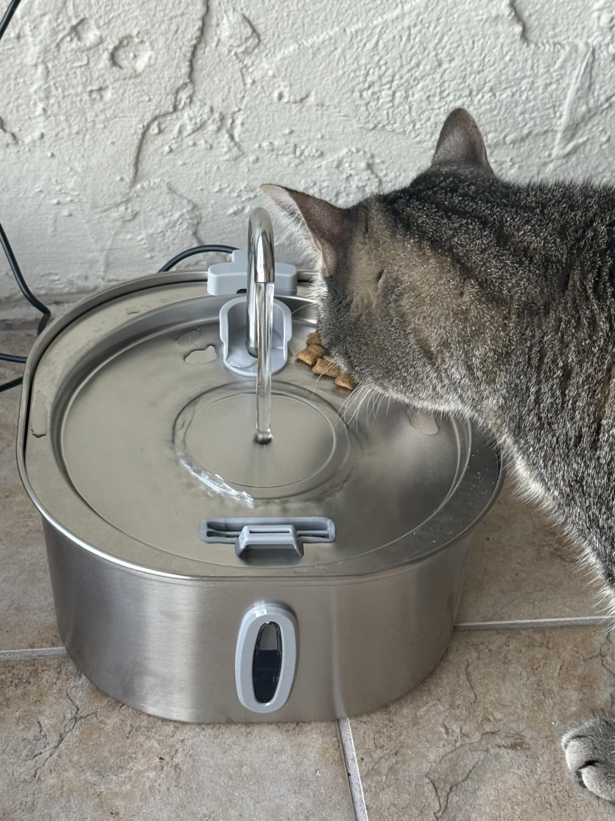 PEKTACO Stainless Steel Cat Water Fountain, 3.2L/108oz Cat Water Dispenser with Quiet Water Pump, Dishwasher Safe Pet Drinking Fountain for Cats customer photo 2