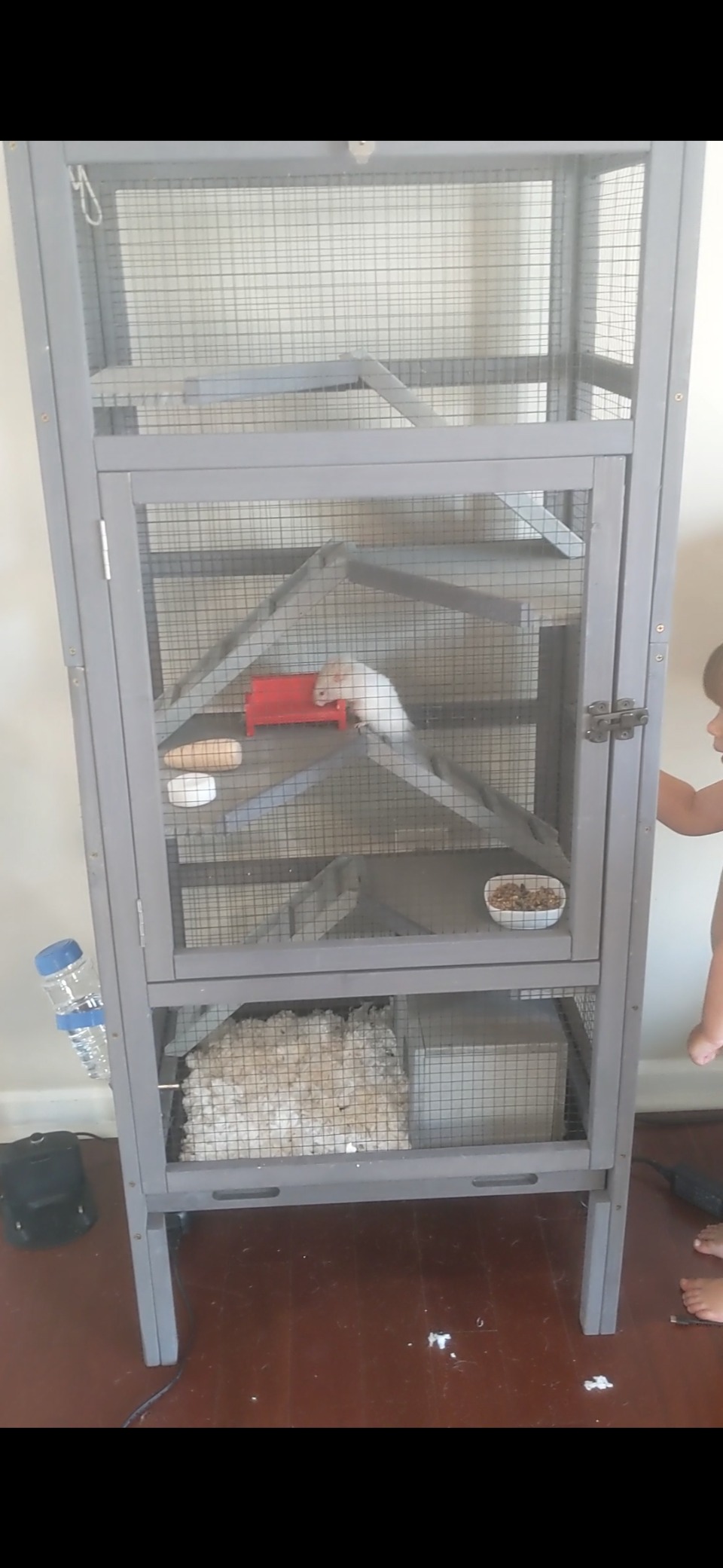 GUTINNEEN Ferret Cage Rat Cage 5 Levels Small Animal Cage for Chinchilla, Hedgehogs, Squirrel, Chameleon, Lizard, Gerbils Anti-Chewing customer photo 2