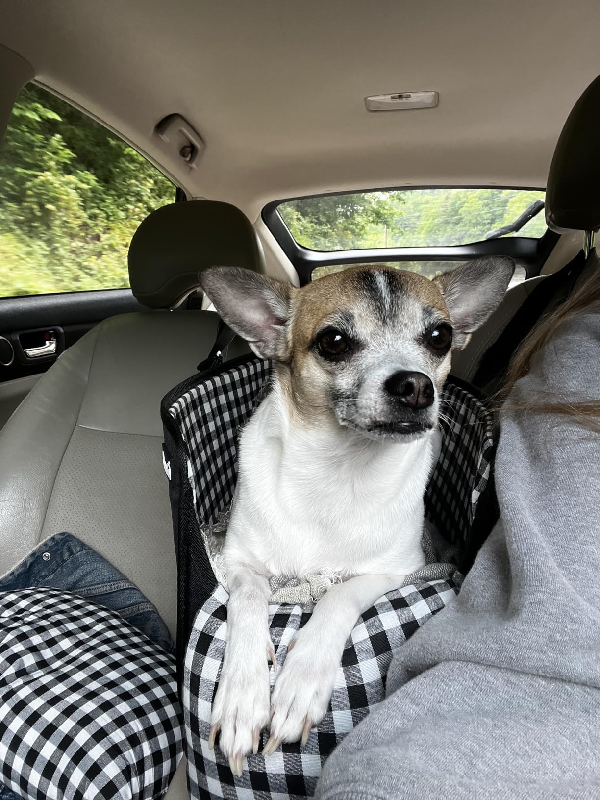 SlowTon Console Dog Car Seat - Portable Dogs Armrest Booster Seat for Small Dog, Anti-Collapse Pet Car Seat with Soft Cushion Safety Belt, Support Pet Up to 11lbs (Black) customer photo 2